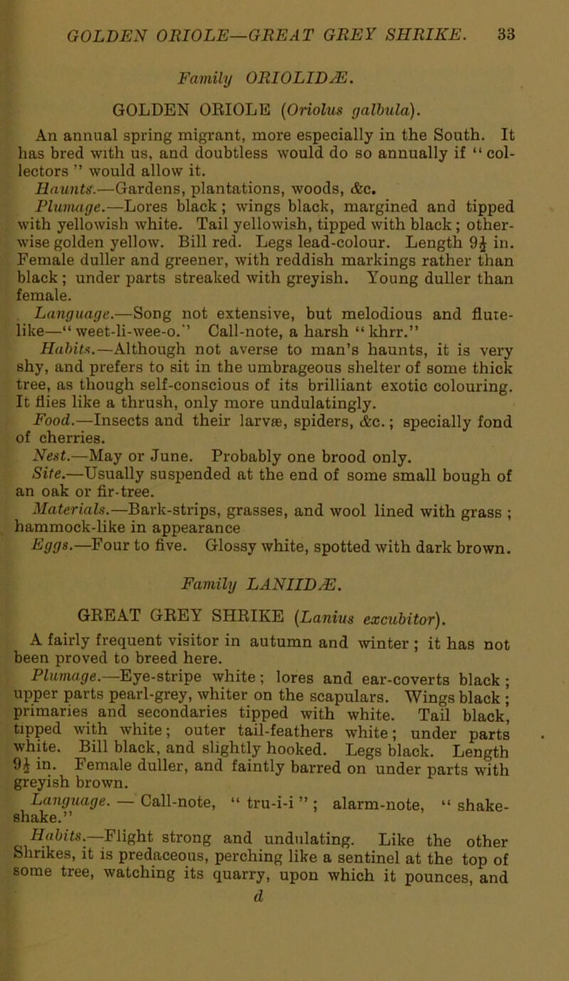 Family ORIOLIDJE. GOLDEN ORIOLE (Oriolus galbula). An annual spring migrant, more especially in the South. It has bred with us, and doubtless would do so annually if “ col- lectors ” would allow it. Haunts.—Gardens, plantations, woods, &c. Plumage.—Lores black; wings black, margined and tipped with yellowish white. Tail yellowish, tipped with black; other- wise golden yellow. Bill red. Legs lead-colour. Length in. Female duller and greener, with reddish markings rather than black ; under parts streaked with greyish. Young duller than female. Language.—Song not extensive, but melodious and flute- like—“ weet-li-wee-o.’’ Call-note, a harsh “khrr.” Habita.—Although not averse to man’s haunts, it is very shy, and prefers to sit in the umbrageous shelter of some thick tree, as though self-conscious of its brilliant exotic colouring. It flies like a thrush, only more undulatingly. Food.—Insects and their larvie, spiders, &c.; specially fond of cherries. Nest.—May or June. Probably one brood only. Site.—Usually suspended at the end of some small bough of an oak or fir-tree. Materials.—Bark-strips, grasses, and wool lined with grass ; hammock-like in appearance Eggs.—Four to five. Glossy white, spotted with dark brown. Family LANIID/E. GREAT GREY SHRIKE (Lanins excubitor). A fairly frequent visitor in autumn and winter ; it has not been proved to breed here. Plumage.—Eye-stripe white; lores and ear-coverts black ; upper parts pearl-grey, whiter on the scapulars. Wings black ; primaries and secondaries tipped with white. Tail black, tipped with white; outer tail-feathers white; under parts white. Bill black, and slightly hooked. Legs black. Length 9£ in. Female duller, and faintly barred on under parts with greyish brown. Language. — Call-note, “ tru-i-i ” ; alarm-note, “ shake- shake.” Habits.—Flight strong and undulating. Like the other Shrikes, it is predaceous, perching like a sentinel at the top of some tree, watching its quarry, upon which it pounces, and d