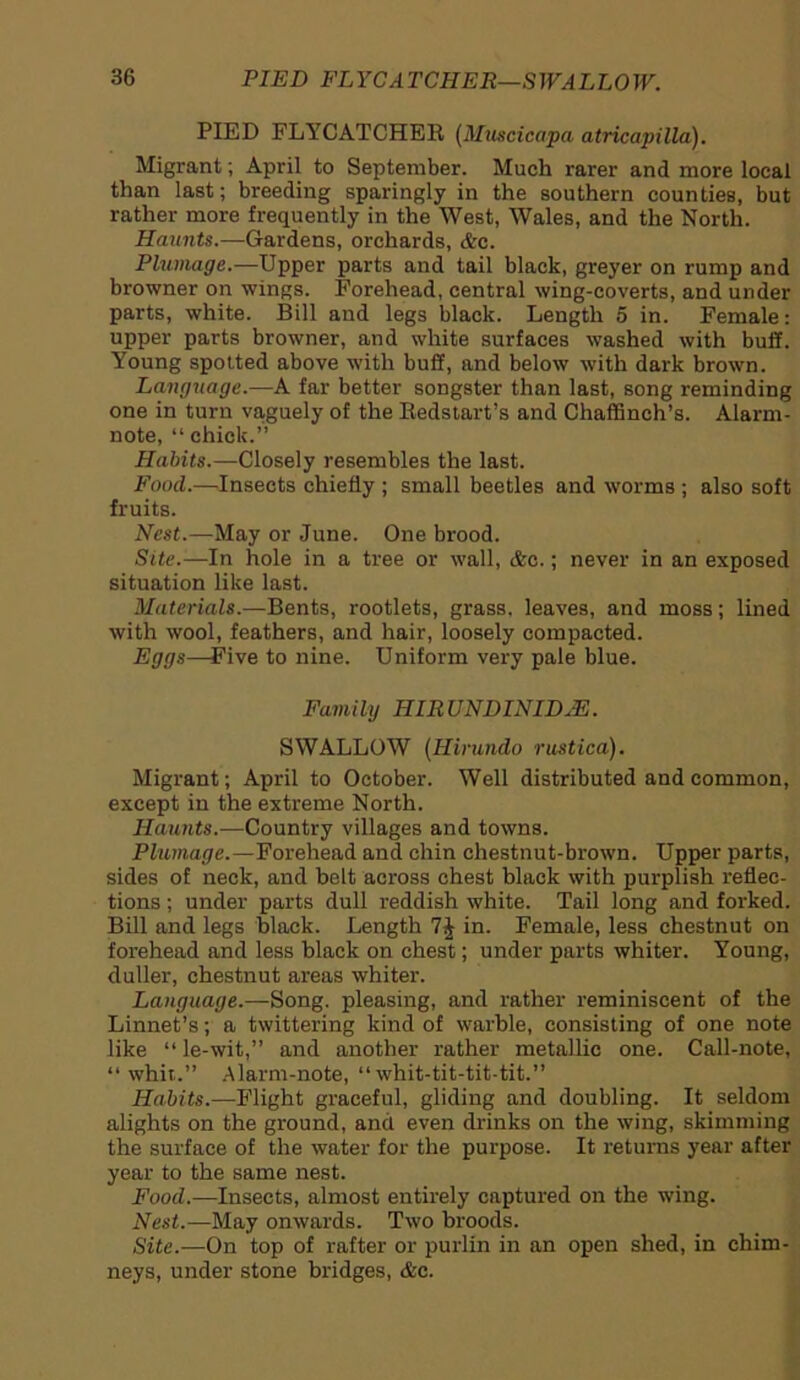PIED FLYCATCHER (Muscicapa atricapilla). Migrant; April to September. Much rarer and more local than last; breeding sparingly in the southern counties, but rather more frequently in the West, Wales, and the North. Haunts.—Gardens, orchards, &c. Plumage.—Upper parts and tail black, greyer on rump and browner on wings. Forehead, central wing-coverts, and under parts, white. Bill and legs black. Length 5 in. Female: upper parts browner, and white surfaces washed with buff. Young spotted above with buff, and below with dark brown. Language.—A far better songster than last, song reminding one in turn vaguely of the Redstart’s and Chaffinch’s. Alarm- note, “ chick.” Habits.—Closely resembles the last. Food.—Insects chiefly ; small beetles and worms ; also soft fruits. Nest.—May or June. One brood. Site.— In hole in a tree or wall, &c.; never in an exposed situation like last. Materials.—Bents, rootlets, grass, leaves, and moss; lined with wool, feathers, and hair, loosely compacted. Eggs—Five to nine. Uniform very pale blue. Family HIRUNDINIDJE. SWALLOW (Hirundo rustica). Migrant; April to October. Well distributed and common, except in the extreme North. Haunts.—Country villages and towns. Plumage.—Forehead and chin chestnut-brown. Upper parts, sides of neck, and belt across chest black with purplish reflec- tions ; under parts dull reddish white. Tail long and forked. Bill and legs black. Length in. Female, less chestnut on forehead and less black on chest; under parts whiter. Young, duller, chestnut areas whiter. Language.—Song, pleasing, and rather reminiscent of the Linnet’s; a twittering kind of warble, consisting of one note like “ le-wit,” and another rather metallic one. Call-note, “whit.” .Alarm-note, “whit-tit-tit-tit.” Habits.—Flight graceful, gliding and doubling. It seldom alights on the ground, and even drinks on the wing, skimming the surface of the water for the purpose. It returns year after year to the same nest. Food.—Insects, almost entirely captured on the wing. Nest.—May onwards. Two broods. Site.-—On top of rafter or purlin in an open shed, in chim- neys, under stone bridges, &c.