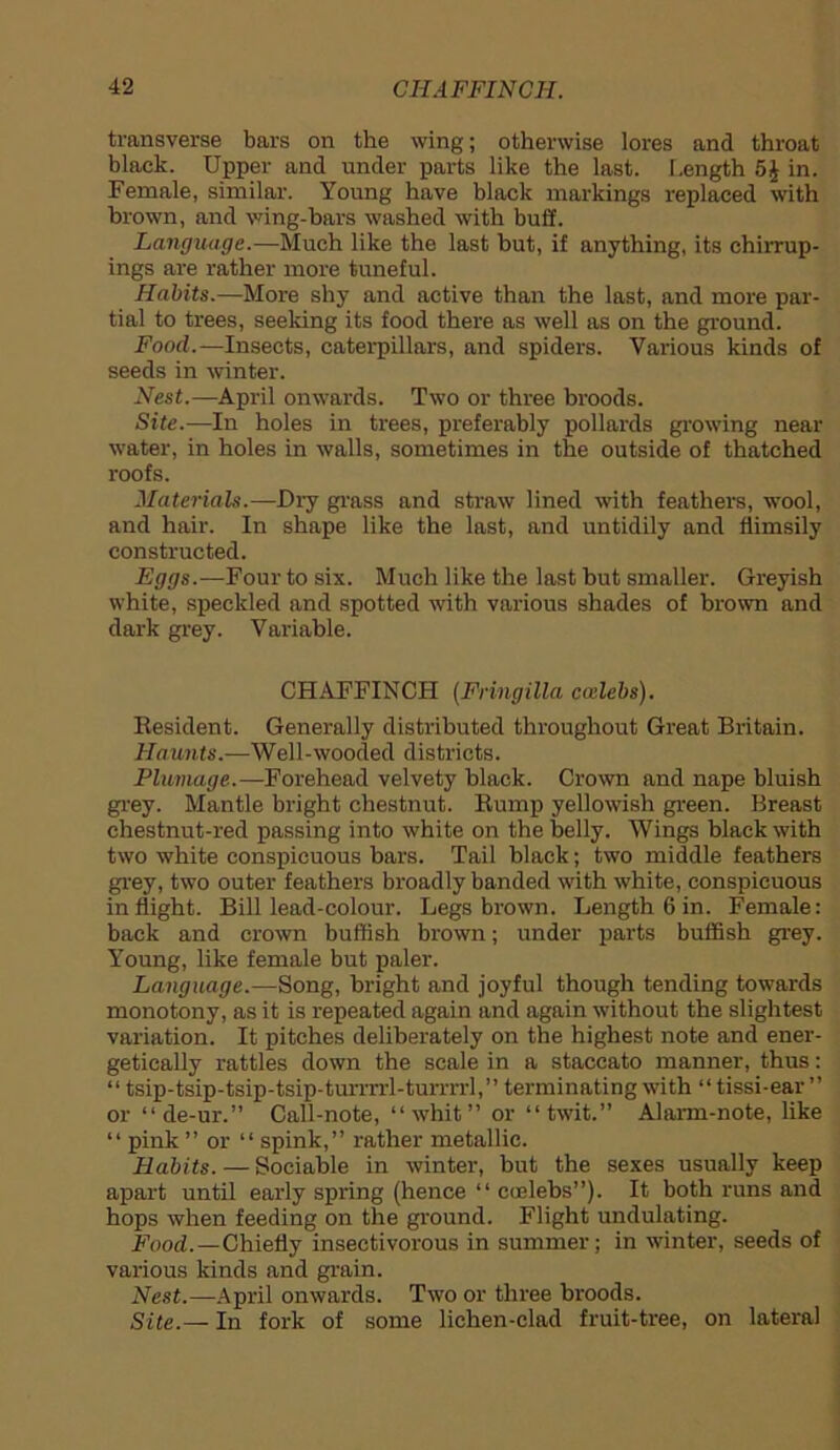 transverse bars on the wing; otherwise lores and throat black. Upper and under parts like the last. Length 5J in. Female, similar. Young have black markings replaced with brown, and wing-bars washed with buff. Language.—Much like the last but, if anything, its chirrup- ings are rather more tuneful. Habits.—More shy and active than the last, and more par- tial to trees, seeking its food there as well as on the ground. Food.—Insects, caterpillars, and spiders. Various kinds of seeds in winter. Nest.—April onwards. Two or three broods. Site.—In holes in trees, preferably pollards growing near water, in holes in walls, sometimes in the outside of thatched roofs. Materials.—Dry grass and straw lined with feathers, wool, and hair. In shape like the last, and untidily and fiimsily constructed. Eggs.—Four to six. Much like the last but smaller. Greyish white, speckled and spotted with various shades of brown and dark grey. Variable. CHAFFINCH (Fringilla Calebs). Resident. Generally distributed throughout Great Britain. Haunts.—Well-wooded districts. Plumage.—Forehead velvety black. Crown and nape bluish grey. Mantle bright chestnut. Rump yellowish green. Breast chestnut-red passing into white on the belly. Wings black with two white conspicuous bars. Tail black; two middle feathers grey, two outer feathers broadly banded with white, conspicuous inflight. Bill lead-colour. Legs brown. Length 6 in. Female: back and crown bullish brown; under parts butfish grey. Young, like female but paler. Language.—Song, bright and joyful though tending towards monotony, as it is repeated again and again without the slightest variation. It pitches deliberately on the highest note and ener- getically rattles down the scale in a staccato manner, thus: “ tsip-tsip-tsip-tsip-turrrrl-turrrrl,” terminating with “ tissi-ear ” or “de-ur.” Call-note, “whit” or “twit.” Alarm-note, like “ pink ” or “ spink,” rather metallic. Habits. — Sociable in winter, but the sexes usually keep apart until early spring (hence “ coelebs”). It both runs and hops when feeding on the ground. Flight undulating. Food.—Chiefly insectivorous in summer; in winter, seeds of various kinds and grain. Nest.—April onwards. Two or three broods. Site.— In fork of some lichen-clad fruit-tree, on lateral