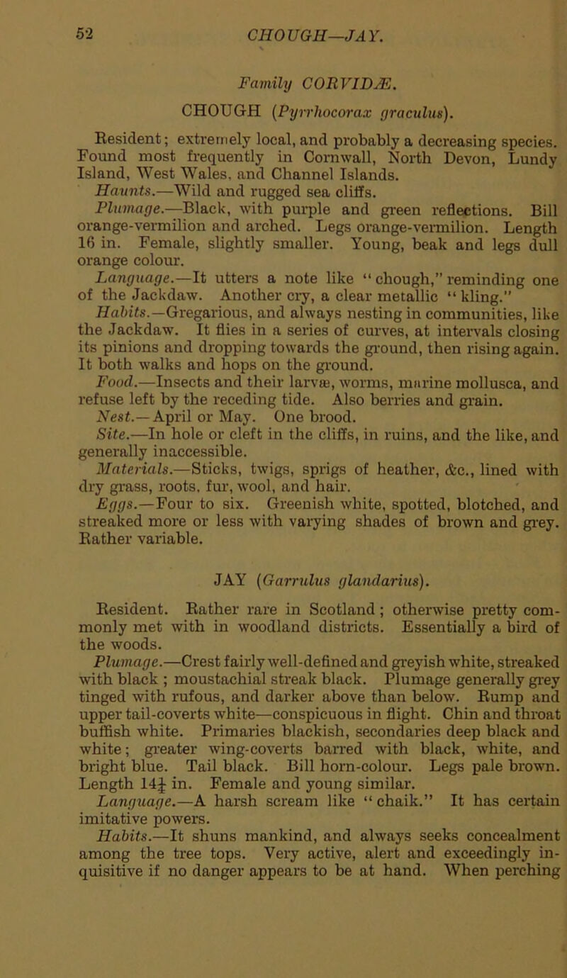 Family CORVIDJE. CHOUGH (Pyrrhocorax graculus). Resident; extremely local, and probably a decreasing species. Found most frequently in Cornwall, North Devon, Lundy Island, West Wales, and Channel Islands. Haunts.—Wild and rugged sea cliffs. Plumage.—Black, with purple and green reflections. Bill orange-vermilion and arched. Legs orange-vermilion. Length 16 in. Female, slightly smaller. Young, beak and legs dull orange colour. Language.—It utters a note like “ chough,” reminding one of the Jackdaw. Another cry, a clear metallic “kling.” Habits.—Gregarious, and always nesting in communities, like the Jackdaw. It flies in a series of curves, at intervals closing its pinions and dropping towards the ground, then rising again. It both walks and hops on the ground. Food.—Insects and their larvte, worms, marine mollusca, and refuse left by the receding tide. Also berries and grain. Nest.— April or May. One brood. Site.—In hole or cleft in the cliffs, in ruins, and the like, and generally inaccessible. Materials.—Sticks, twigs, sprigs of heather, &c., lined with dry grass, roots, fur, wool, and hair. Eggs.—Four to six. Greenish white, spotted, blotched, and streaked more or less with varying shades of brown and grey. Rather variable. JAY (Garndus glandarius). Resident. Rather rare in Scotland; otherwise pretty com- monly met with in woodland districts. Essentially a bird of the woods. Plumage.—Crest fairly well-defined and greyish white, streaked with black ; moustachial streak black. Plumage generally grey tinged with rufous, and darker above than below. Rump and upper tail-coverts white—conspicuous in flight. Chin and throat huffish white. Primaries blackish, secondaries deep black and white; greater wing-coverts barred with black, white, and bright blue. Tail black. Bill horn-colour. Legs pale brown. Length 14J in. Female and young similar. Langxiage.—A harsh scream like “ chaik.” It has certain imitative powers. Habits.—It shuns mankind, and always seeks concealment among the tree tops. Very active, alert and exceedingly in- quisitive if no danger appears to be at hand. When perching