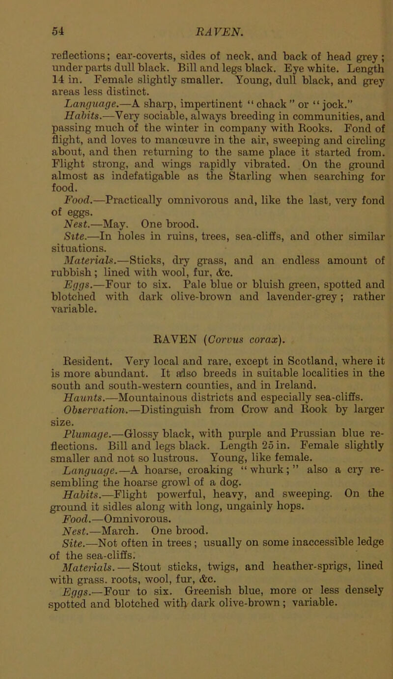 reflections; ear-coverts, sides of neck, and back of head grey ; under parts dull black. Bill and legs black. Eye white. Length 14 in. Female slightly smaller. Young, dull black, and grey areas less distinct. Language.—A sharp, impertinent “ chack ” or “ jock.” Habits.—Very sociable, always breeding in communities, and passing much of the winter in company with Rooks. Fond of flight, and loves to manoeuvre in the air, sweeping and circling about, and then returning to the same place it started from. Flight strong, and wings rapidly vibrated. On the ground almost as indefatigable as the Starling when searching for food. Food.—Practically omnivorous and, like the last, very fond of eggs. Nest.—May. One brood. Site.—In holes in ruins, trees, sea-cliffs, and other similar situations. Materials.—Sticks, dry grass, and an endless amount of rubbish ; lined with wool, fur, &c. Eggs.—Four to six. Pale blue or bluish green, spotted and blotched with dark olive-brown and lavender-grey; rather variable. RAVEN (Corvus corax). Resident. Very local and rare, except in Scotland, where it is more abundant. It arlso breeds in suitable localities in the south and south-western counties, and in Ireland. Haunts.—Mountainous districts and especially sea-cliffs. Observation.—Distinguish from Crow and Rook by larger size. Plumage.—Glossy black, with purple and Prussian blue re- flections. Bill and legs black. Length 25 in. Female slightly smaller and not so lustrous. Young, like female. Language.—A hoarse, croaking “whurk;” also a cry re- sembling the hoarse growl of a dog. Habits.—Flight powerful, heavy, and sweeping. On the ground it sidles along with long, ungainly hops. Food.—Omnivorous. Nest.—March. One brood. Site.—Not often in trees; usually on some inaccessible ledge of the sea-cliffs. Materials.-—Stout sticks, twigs, and heather-sprigs, lined with grass, roots, wool, fur, &c. Eggs.—Four to six. Greenish blue, more or less densely spotted and blotched with dark olive-brown; variable.