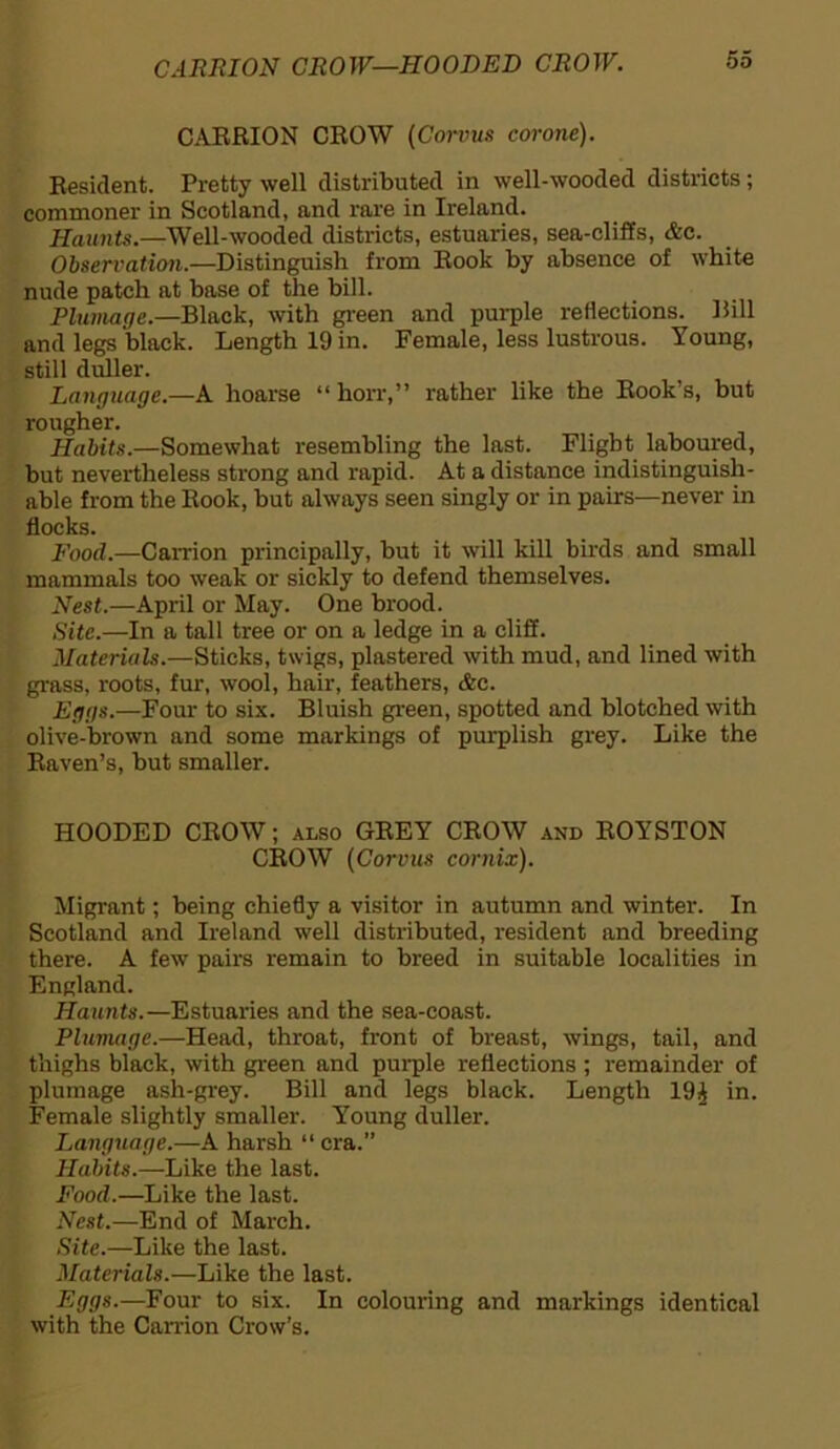 CARRION CROW—HOODED CROW. CARRION CROW (Corvus corone). Resident. Pretty well distributed in well-wooded districts; commoner in Scotland, and rare in Ireland. Haunts.—Well-wooded districts, estuaries, sea-cliffs, &c. Observation.—Distinguish from Rook by absence of white nude patch at base of the bill. Plumage.—Black, with green and purple reflections. Bill and legs black. Length 19 in. Female, less lustrous. Young, still duller. Langtiage.—A hoarse “ horr,” rather like the Rook’s, but rougher. Habits.—Somewhat resembling the last. Flight laboured, but nevertheless strong and rapid. At a distance indistinguish- able from the Rook, but always seen singly or in pairs—never in flocks. Food.—Carrion principally, but it will kill birds and small mammals too weak or sickly to defend themselves. Nest.—April or May. One brood. Site.—In a tall tree or on a ledge in a cliff. Materials.—Sticks, twigs, plastered with mud, and lined with grass, roots, fur, wool, hair, feathers, &e. Eggs.—Four to six. Bluish green, spotted and blotched with olive-brown and some markings of purplish grey. Like the Raven’s, but smaller. HOODED CROW; also GREY CROW and ROYSTON CROW (Corvus comix). Migrant; being chiefly a visitor in autumn and winter. In Scotland and Ireland well distributed, resident and breeding there. A few pairs remain to breed in suitable localities in England. Haunts.—Estuaries and the sea-coast. Plumage.—Head, throat, front of breast, wings, tail, and thighs black, with green and purple reflections ; remainder of plumage ash-grey. Bill and legs black. Length 19^ in. Female slightly smaller. Young duller. Language.—A harsh “ era.” Habits.—Like the last. Food.—Like the last. Nest.—End of March. Site.—Like the last. Materials.—Like the last. Eggs.—Four to six. In colouring and markings identical with the Carrion Crow’s.