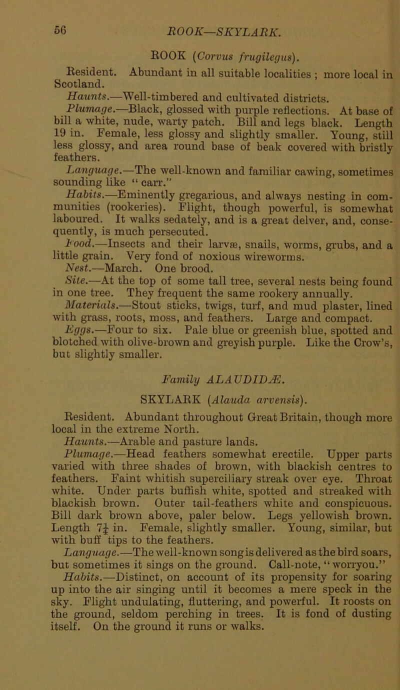 EOOK (Corvus frugilegus). Resident. Abundant in all suitable localities ; more local in Scotland. Haunts.—Well-timbered and cultivated districts. Plumage.—Black, glossed with purple reflections. At base of bill a white, nude, warty patch. Bill and legs black. Length 19 in. Female, less glossy and slightly smaller. Young, still less glossy, and area round base of beak covered with bristly feathers. Language.-—The well-known and familiar cawing, sometimes sounding like “ can-.” Habits.—Eminently gregarious, and always nesting in com- munities (rookeries). Flight, though powerful, is somewhat laboured. It walks sedately, and is a great delver, and, conse- quently, is much persecuted. Pood.—Insects and their larva?, snails, worms, grubs, and a little grain. Very fond of noxious wireworms. Nest.—March. One brood. Site.—At the top of some tall tree, several nests being found in one tree. They frequent the same rookery annually. Materials.—Stout sticks, twigs, turf, and mud plaster, lined with grass, roots, moss, and feathers. Large and compact. Eggs.—Four to six. Pale blue or greenish blue, spotted and blotched with olive-brown and greyish purple. Like the Crow’s, but slightly smaller. Family ALAUDIDJE. SKYLARK (Alauda arvensis). Resident. Abundant throughout Great Britain, though more local in the extreme North. Haunts.—Arable and pasture lands. Plumage.—Head feathers somewhat erectile. Upper parts varied with three shades of brown, with blackish centres to feathers. Faint whitish superciliary streak over eye. Throat white. Under parts bullish white, spotted and streaked with blackish brown. Outer tail-feathers white and conspicuous. Bill dark brown above, paler below. Legs yellowish brown. Length in. Female, slightly smaller. Young, similar, but with buff tips to the feathers. Language. —The well-known song is delivered as the bird soars, but sometimes it sings on the ground. Call-note, “worryou.” Habits.—Distinct, on account of its propensity for soaring up into the air singing until it becomes a mere speck in the sky. Flight undulating, fluttering, and powerful. It roosts on the ground, seldom perching in trees. It is fond of dusting itself. On the ground it runs or walks.