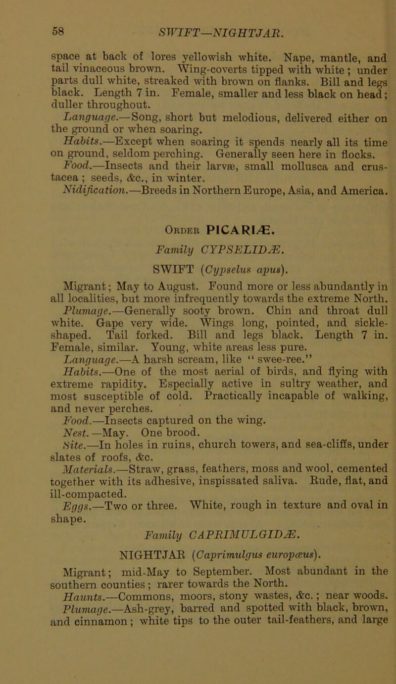 space at back of lores yellowish white. Nape, mantle, and tail vinaceous brown. Wing-coverts tipped with white ; under parts dull white, streaked with brown on flanks. Bill and legs black. Length 7 in. Female, smaller and less black on head; duller throughout. Language.— Song, short but melodious, delivered either on the ground or when soaring. Habits.—Except when soaring it spends nearly all its time on ground, seldom perching. Generally seen here in flocks. Food.—Insects and their larv®, small mollusca and Crus- tacea ; seeds, &c., in winter. Nidification.—Breeds in Northern Europe, Asia, and America. Order PICARJ/E. Family CYPSELIDJE. SWIFT (Gypselus apus). Migrant; May to August. Found more or less abundantly in all localities, but more infrequently towards the extreme North. Plumage.—Generally sooty brown. Chin and throat dull white. Gape very wide. Wings long, pointed, and sickle- shaped. Tail forked. Bill and legs black. Length 7 in. Female, similar. Young, white areas less pure. Language.—A harsh scream, like “ swee-ree.” Habits.—One of the most aerial of birds, and flying with extreme rapidity. Especially active in sultry weather, and most susceptible of cold. Practically incapable of walking, and never perches. Food.—Insects captured on the wing. Nest. —May. One brood. Hite.—In holes in ruins, church towers, and sea-cliffs, under slates of roofs, &c. Materials— Straw, grass, feathers, moss and wool, cemented together with its adhesive, inspissated saliva. Rude, flat, and ill-compacted. Eggs.—Two or three. White, rough in texture and oval in shape. Family CAPRIMULGIDYE. NIGHTJAR (Caprimulgus europceus). Migrant; mid-May to September. Most abundant in the southern counties ; rarer towards the North. Haunts.—Commons, moors, stony wastes, &c.; near woods. Plumage.—Ash-grey, barred and spotted with black, brown, and cinnamon; white tips to the outer tail-feathers, and large