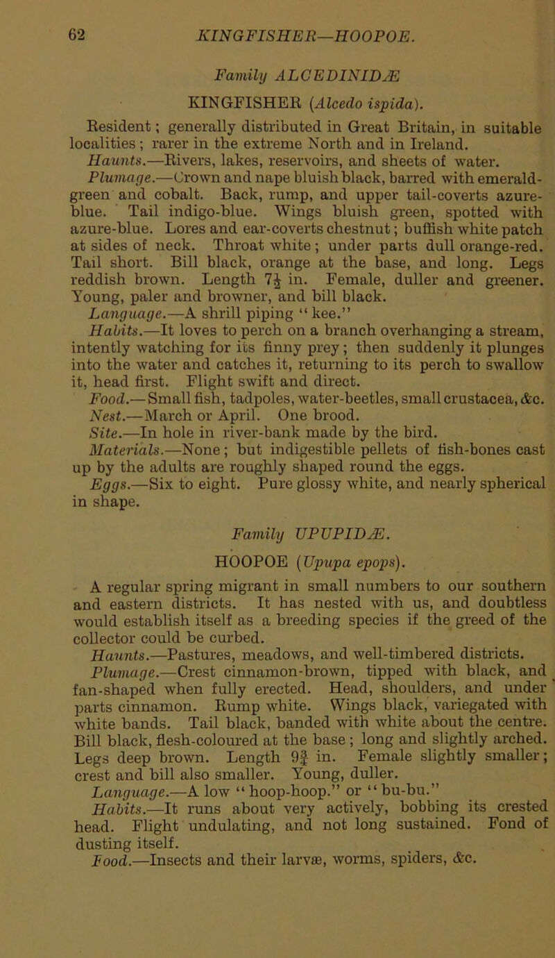 Family ALCEDINIDJE KINGFISHER (Alcedo ispida). Resident; generally distributed in Great Britain, in suitable localities; rarer in the extreme North and in Ireland. Haunts.—Rivers, lakes, reservoirs, and sheets of water. Plumage.—Crown and nape bluish black, barred with emerald- green and cobalt. Back, rump, and upper tail-coverts azure- blue. Tail indigo-blue. Wings bluish green, spotted with azure-blue. Lores and ear-coverts chestnut; buffish white patch at sides of neck. Throat white; under parts dull orange-red. Tail short. Bill black, orange at the base, and long. Legs reddish brown. Length 7£ in. Female, duller and greener. Young, paler and browner, and bill black. Language.—A shrill piping “kee.” Habits.—It loves to perch on a branch overhanging a stream, intently watching for its finny prey; then suddenly it plunges into the water and catches it, returning to its perch to swallow it, head first. Flight swift and direct. Food.— Small fish, tadpoles, water-beetles, small Crustacea, &c. Nest.—March or April. One brood. Site.—In hole in river-bank made by the bird. Materials.—None; but indigestible pellets of fish-bones cast up by the adults are roughly shaped round the eggs. Eggs.—Six to eight. Pure glossy white, and nearly spherical in shape. Family UPUPIDJE. HOOPOE (Upupa epops). A regular spring migrant in small numbers to our southern and eastern districts. It has nested with us, and doubtless would establish itself as a breeding species if the greed of the collector could be curbed. Haunts.—Pastures, meadows, and well-timbered districts. Plumage.—Crest cinnamon-brown, tipped with black, and fan-shaped when fully erected. Head, shoulders, and under parts cinnamon. Rump white. Wings black, variegated with white bands. Tail black, banded with white about the centre. Bill black, flesh-coloured at the base ; long and slightly arched. Legs deep brown. Length 9J in. Female slightly smaller; crest and bill also smaller. Young, duller. Language.—A low “ hoop-hoop.” or “ bu-bu.” Habits.—It runs about very actively, bobbing its crested head. Flight undulating, and not long sustained. Fond of dusting itself. Food.—Insects and their larvce, worms, spiders, &c.