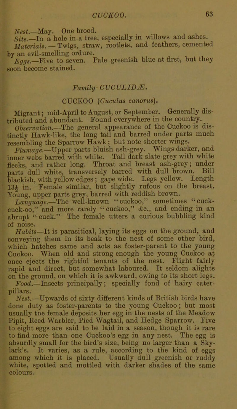 Nest.—May. One brood. Site.—In a hole in ft tree, especially in willows and ashes. Materials. — Twigs, straw, rootlets, and feathers, cemented by an evil-smelling ordure. Eggs.—Five to seven. Pale greenish blue at first, but they soon become stained. Family CUCULIDM. CUCKOO (Cuculus canorus). Migrant; mid-April to August, or September. Generally dis- tributed and abundant. Found everywhere in the country. Observation.—The general appearance of the Cuckoo is dis- tinctly Hawk-like, the long tail and barred under parts much resembling the Sparrow Hawk ; but note shorter wings. Plumage.—Upper parts bluish ash-grey. Wings darker, and inner webs barred with white. Tail dark slate-grey with white flecks, and rather long. Throat and breast ash-grey; under parts dull white, transversely barred with dull brown. Bill blackish, with yellow edges; gape wide. Legs yellow. Length 13£ in. Female similar, but slightly rufous on the breast. Young, upper parts grey, barred with reddish brown. Language.—The well-known “cuckoo,” sometimes “ cuck- cuck-oo,” and more rarely “ cuckoo,” &c., and ending in an abrupt “ cuck.” The female utters a curious bubbling kind of noise. Habits—It is parasitical, laying its eggs on the ground, and conveying them in its beak to the nest of some other bird, which hatches same and acts as foster-parent to the young Cuckoo. When old and strong enough the young Cuckoo at once ejects the rightful tenants of the nest. Flight fairly rapid and direct, but somewhat laboured. It seldom alights on the ground, on which it is awkward, owing to its short legs. Food.—Insects principally; specially fond of hairy cater- pillars. Nest.—Upwards of sixty different kinds of British birds have done duty as foster-parents to the young Cuckoo; but most usually tne female deposits her egg in the nests of the Meadow Pipit, Feed Warbler, Pied Wagtail, and Hedge Sparrow. Five to eight eggs are said to be laid in a season, though it is rare to find more than one Cuckoo’s egg in any nest. The egg is absurdly small for the bird’s size, being no larger than a Sky- lark’s. It varies, as a rule, according to the kind of eggs among which it is placed. Usually dull greenish or ruddy white, spotted and mottled with darker shades of the same colours.