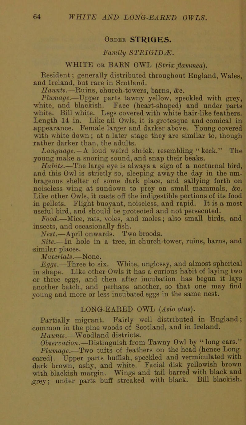 Order STRIQES. Family ST RIG I DAE. WHITE or BARN OWL (Strix flammed). Resident; generally distributed throughout England, Wales, and Ireland, but rare in Scotland. Haunts.—Ruins, church-towers, barns, Ac. Plumage.—Upper parts tawny yellow, speckled with grey, white, and blackish. Face (heart-shaped) and under parts white. Bill white. Legs covered with white hair-like feathers. Length 14 in. Like all Owls, it is grotesque and comical in appearance. Female larger and darker above. Young covered with white down; at a later stage they are similar to, though rather darker than, the adults. Language. —A loud weird shriek, resembling “ keck.” The young make a snoring sound, and snap their beaks. Habits.—The large eye is always a sign of a nocturnal bird, and this Owl is strictly so, sleeping away the day in the um- brageous shelter of some dark place, and sallying forth on noiseless wing at sundown to prey on small mammals, Ac. Like other Owls, it casts off the indigestible portions of its food in pellets. Flight buoyant, noiseless, and rapid. It is a most useful bird, and should be protected and not persecuted. Food.—Mice, rats, voles, and moles; also small birds, and insects, and occasionally fish. Nest.—April onwards. Two broods. Site.—In hole in a tree, in church-tower, ruins, barns, and similar places. Materials.—None. Eggs.—Three to six. White, unglossy, and almost spherical in shape. Like other OwLs it has a curious habit of laying two or three eggs, and then after incubation has begun it lays another batch, and perhaps another, so that one may find young and more or less incubated eggs in the same nest. LONG-EARED OWL (Asio otus). Partially migrant. Fairly well distributed in England; common in the pine woods of Scotland, and in Ireland. Haunts.—Woodland districts. Observation.—Distinguish from Tawny Owl by “long ears. ’ Plumage.—Two tufts of feathers on the head (hence Long eared). Upper parts huffish, speckled and vermiculated with dark brown, ashy, and white Facial disk yellowish brown with blackish margin. Wings and tail barred with black and grey; under parts buff streaked with black. Bill blackish.