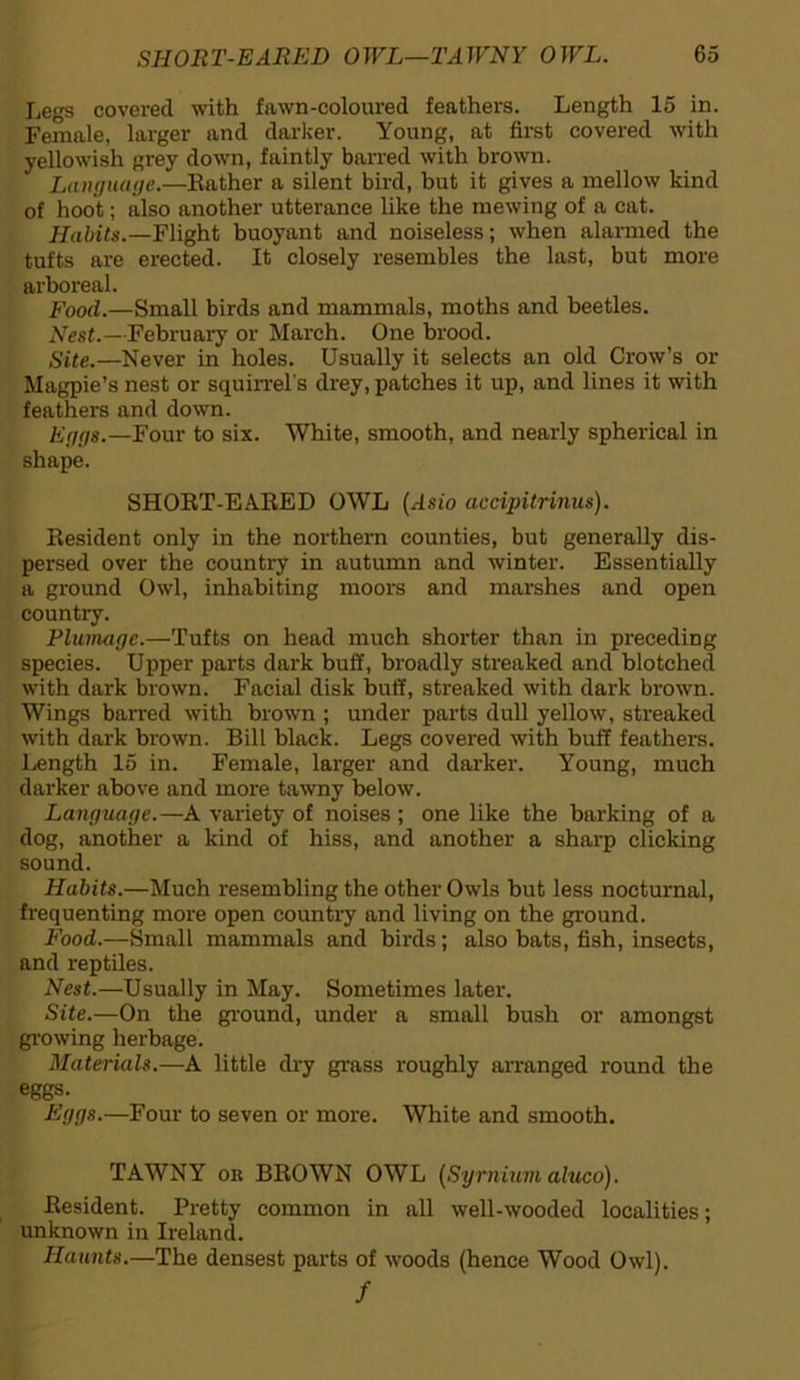 Legs covered with fawn-coloured feathers. Length 15 in. Female, larger and darker. Young, at first covered with yellowish grey down, faintly barred with brown. Language.—Rather a silent bird, but it gives a mellow kind of hoot; also another utterance like the mewing of a cat. Habits.—Flight buoyant and noiseless; when alarmed the tufts are erected. It closely resembles the last, but more arboreal. Food.—Small birds and mammals, moths and beetles. Nest.—February or March. One brood. Site.—Never in holes. Usually it selects an old Crow’s or Magpie’s nest or squirrel's drey, patches it up, and lines it with feathers and down. Eggs.—Four to six. White, smooth, and nearly spherical in shape. SHORT-EARED OWL (Asio accipitriniis). Resident only in the northern counties, but generally dis- persed over the country in autumn and winter. Essentially a ground Owl, inhabiting moors and marshes and open country. Plumage.—Tufts on head much shorter than in preceding species. Upper parts dark buff, broadly streaked and blotched with dark brown. Facial disk buff, streaked with dark brown. Wings barred with brown ; under parts dull yellow, streaked with dark brown. Bill black. Legs covered with buff feathers. Length 15 in. Female, larger and darker. Young, much darker above and more tawny below. Language.—A variety of noises ; one like the barking of a dog, another a kind of hiss, and another a sharp clicking sound. Habits.—Much resembling the other Owls but less nocturnal, frequenting more open country and living on the ground. Food.—Small mammals and birds; also bats, fish, insects, and reptiles. Nest.—Usually in May. Sometimes later. Site.—On the ground, under a small bush or amongst growing herbage. Materials.—A little dry grass roughly arranged round the eggs. Eggs.—Four to seven or more. White and smooth. TAWNY or BROWN OWL (Syrnium aluco). Resident. Pretty common in all well-wooded localities; unknown in Ireland. Haunts.—The densest parts of woods (hence Wood Owl). /