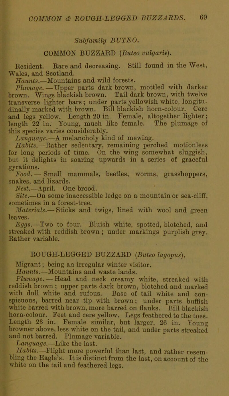 Subfamily BUTEO. COMMON BUZZARD (Buteo vulgarit). Resident. Rare and decreasing. Still found in the West, Wales, and Scotland. Haunts.—Mountains and wild forests. Plumage.—Upper parts dark brown, mottled with darker brown. Wings blackish brown. Tail dark brown, with twelve transverse lighter bars; under parts yellowish white, longitu- dinally marked with brown. Bill blackish horn-colour. Cere and legs yellow. Length 20 in. Female, altogether lighter; length 22 in. Young, much like female. The plumage of this species varies considerably. Language.—A melancholy kind of mewing. Habits.—Rather sedentary, remaining perched motionless for long periods of time. On the wing somewhat sluggish, but it delights in soaring upwards in a series of graceful gyrations. Food. — Small mammals, beetles, worms, grasshoppers, snakes, and lizards. Nest.—April. One brood. Site.—On some inaccessible ledge on a mountain or sea-cliff, sometimes in a forest-tree. Materials.— Sticks and twigs, lined with wool and green leaves. Eggs.—Two to four. Bluish white, spotted, blotched, and streaked with reddish brown ; under markings purplish grey. Rather variable. ROUGH-LEGGED BUZZARD (Buteo lagopus). Migrant; being an irregular winter visitor. Haunts.—Mountains and waste lands. Plumage. — Head and neck creamy white, streaked with reddish brown ; upper parts dark brown, blotched and marked with dull white and rufous. Base of tail white and con- spicuous, barred near tip with brown; under parts buffish white barred with brown, more barred on flanks. Bill blackish horn-colour. Feet and cere yellow. Legs feathered to the toes. Length 23 in. Female similar, but larger, 26 in. Young browner above, less white on the tail, and under parts streaked and not barred. Plumage variable. Language.—Like the last. Habits.—Flight more powerful than last, and rather resem- bling the Eagle’s. It is distinct from the last, on account of the white on the tail and feathered legs.
