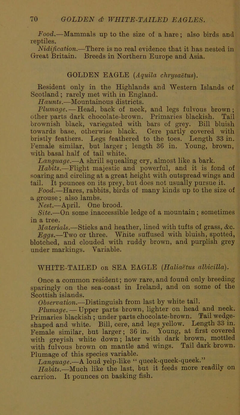 Food.—Mammals up to the size of a hare; also birds and reptiles. Nidification.—There is no real evidence that it has nested in Great Britain. Breeds in Northern Europe and Asia. GOLDEN EAGLE (Aquila chrysaetus). Resident only in the Highlands and Western Islands of Scotland; rarely met with in England. Haunts.—Mountainous districts. Plumage. — Head, back of neck, and legs fulvous brown; other parts dark chocolate-brown. Primaries blackish. Tail brownish black, variegated with bars of grey. Bill bluish towards base, otherwise black. Cere partly covered with bristly feathers. Legs feathered to the toes. Length 33 in. Female similar, but larger ; length 36 in. Young, brown, with basal half of tail white. Language.—A shrill squealing cry, almost like a bark. Habits.—Flight majestic and powerful, and it is fond of soaring and circling at a great height with outspread wings and tail. It pounces on its prey, but does not usually pursue it. Food.—Hares, rabbits, birds of many kinds up to the size of a grouse ; also lambs. Nest.—April. One brood. Site.—On some inaccessible ledge of a mountain; sometimes in a tree. Materials.—Sticks and heather, lined with tufts of grass, &c. Eggs.—Two or three. White suffused with bluish, spotted, blotched, and clouded with ruddy brown, and purplish grey under markings. Variable. WHITE-TAILED on SEA EAGLE (Haliaetus albicilla). Once a common resident; now rare, and found only breeding sparingly on the sea-coast in Ireland, and on some of the Scottish islands. Observation.—Distinguish from last by white tail. Plumage. — Upper parts brown, lighter on head and neck. Primaries blackish ; under parts chocolate-brown. Tail wedge- shaped and white. Bill, cere, and legs yellow. Length 33 in. Female similar, but larger; 36 in. Young, at first covered with greyish white down; later with dark brown, mottled with fulvous brown on mantle and wings. Tail dark brown. Plumage of this species variable. Language.—A loud yelp-like “ queek-queek-queek.” Habits.—Much like the last, but it feeds more readily on carrion. It pounces on basking fish.
