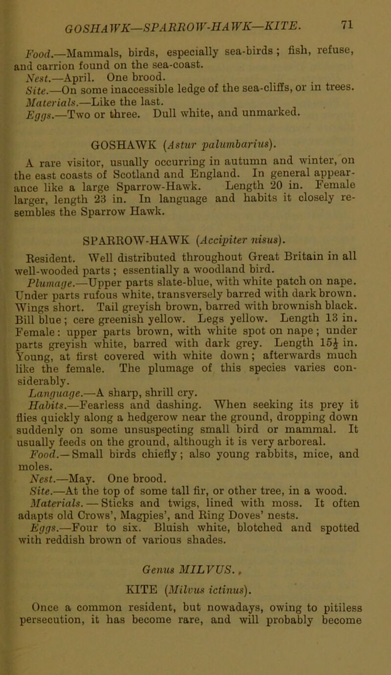 Food,—Mammals, birds, especially sea-birds ; fish, refuse, and carrion found on the sea-coast. Nest.—April. One brood. Site.—On some inaccessible ledge of the sea-clifis, or in trees. Materials.—Like the last. Eggs.—Two or three. Dull white, and unmarked. GOSHAWK (Astur palumbarius). A rare visitor, usually occurring in autumn and winter, on the east coasts of Scotland and England. In general appear- ance like a large Sparrow-Hawk. Length 20 in. Female larger, length 23 in. In language and habits it closely re- sembles the Sparrow Hawk. SPARROW-HAWK (Accipiter nisus). Resident. Well distributed throughout Great Britain in all well-wooded parts ; essentially a woodland bird. Plumage.—Upper parts slate-blue, with white patch on nape. Under parts rufous white, transversely barred with dark brown. Wings short. Tail greyish brown, barred with brownish black. Bill blue; cere greenish yellow. Legs yellow. Length 13 in. Female: upper parts brown, with white spot on nape; under parts greyish white, barred with dark grey. Length 15£ in. Young, at first covered with white down; afterwards much like the female. The plumage of this species varies con- siderably. Language.—A sharp, shrill cry. Habits.—Fearless and dashing. When seeking its prey it flies quickly along a hedgerow near the ground, dropping down suddenly on some unsuspecting small bird or mammal. It usually feeds on the ground, although it is very arboreal. Food.—Small birds chiefly; also young rabbits, mice, and moles. Nest.—May. One brood. Site.—At the top of some tall fir, or other tree, in a wood. Materials. — Sticks and twigs, lined with moss. It often adapts old Crows’, Magpies’, and Ring Doves’ nests. Eggs.—Four to six. Bluish white, blotched and spotted with reddish brown of various shades. Genus MILVUS., KITE (Milvus ictinus). Once a common resident, but nowadays, owing to pitiless persecution, it has become rare, and will probably become