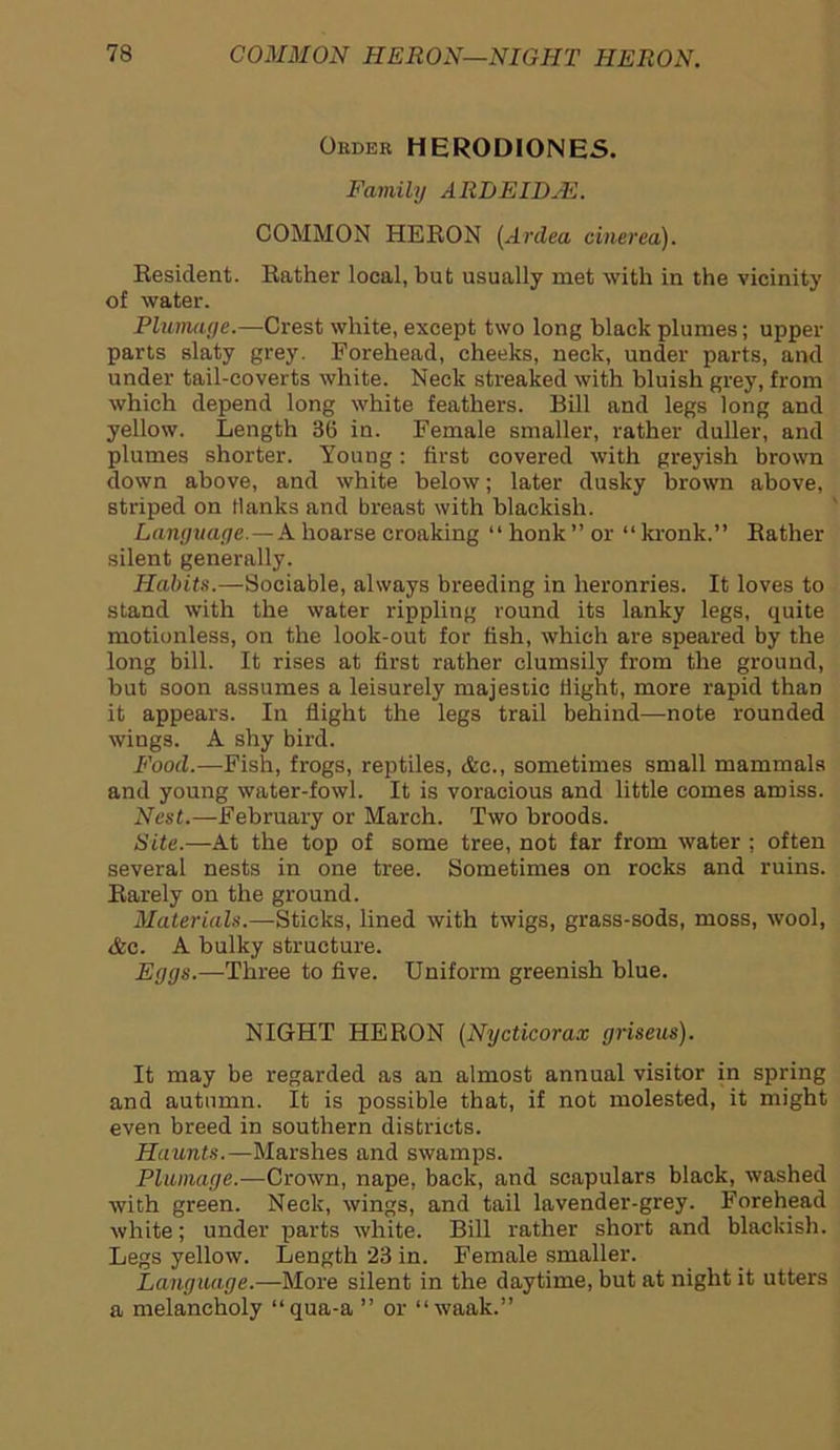 Order HERODIONES. Family ARBEIDJE. COMMON HERON (Ardea cinerea). Resident. Rather local, but usually met with in the vicinity of water. Plumage.—Crest white, except two long black plumes; upper parts slaty grey. Forehead, cheeks, neck, under parts, and under tail-coverts white. Neck streaked with bluish grey, from which depend long white feathers. Bill and legs long and yellow. Length 36 in. Female smaller, rather duller, and plumes shorter. Young: first covered with greyish brown down above, and white below; later dusky brown above, striped on Hanks and breast with blackish. Language.—A hoarse croaking “ honk ” or “ kronk.” Rather silent generally. Habits.—Sociable, always breeding in heronries. It loves to stand with the water rippling round its lanky legs, quite motionless, on the look-out for fish, which are speared by the long bill. It rises at first rather clumsily from the ground, but soon assumes a leisurely majestic flight, more rapid than it appears. In flight the legs trail behind—note rounded wings. A shy bird. Food.—Fish, frogs, reptiles, &c., sometimes small mammals and young water-fowl. It is voracious and little comes amiss. Nest.—February or March. Two broods. Site.—At the top of some tree, not far from water : often several nests in one tree. Sometimes on rocks and ruins. Rarely on the ground. Materials.—Sticks, lined with twigs, grass-sods, moss, wool, <fcc. A bulky structure. Eggs.—Three to five. Uniform greenish blue. NIGHT HERON (Nycticorax grisexis). It may be regarded as an almost annual visitor in spring and autumn. It is possible that, if not molested, it might even breed in southern districts. Haunts.—Marshes and swamps. Plumage.—Crown, nape, back, and scapulars black, washed with green. Neck, wings, and tail lavender-grey. Forehead white; under parts white. Bill rather short and blackish. Legs yellow. Length 23 in. Female smaller. Language.—More silent in the daytime, but at night it utters a melancholy “qua-a ” or “waak.”