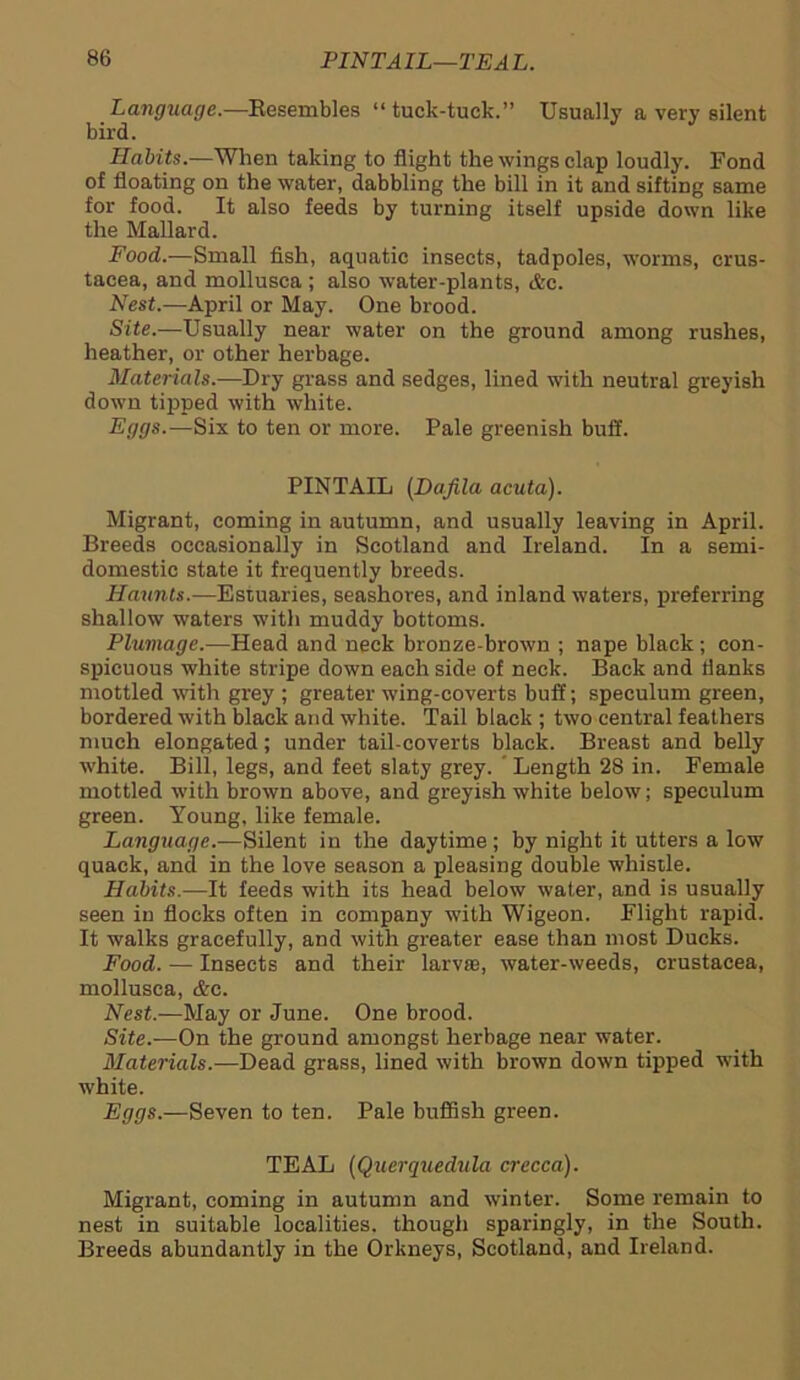 Language.—Resembles “ tuck-tuck.” Usually a very silent bird. Habits.—When taking to flight the wings clap loudly. Fond of floating on the water, dabbling the bill in it and siftiDg same for food. It also feeds by turning itself upside down like the Mallard. Food.-—Small fish, aquatic insects, tadpoles, worms, Crus- tacea, and mollusca ; also water-plants, &c. Nest.—April or May. One brood. Site.—Usually near water on the ground among rushes, heather, or other herbage. Materials.—Dry grass and sedges, lined with neutral greyish down tipped with white. Eggs.—Six to ten or more. Pale greenish buff. PINTAIL (Dafila acuta). Migrant, coming in autumn, and usually leaving in April. Breeds occasionally in Scotland and Ireland. In a semi- domestic state it frequently breeds. Haunts.—Estuaries, seashores, and inland waters, preferring shallow waters with muddy bottoms. Plumage.—Head and neck bronze-brown ; nape black; con- spicuous white stripe down each side of neck. Back and flanks mottled with grey ; greater wing-coverts buff; speculum green, bordered with black and white. Tail black ; two central feathers much elongated; under tail-coverts black. Breast and belly white. Bill, legs, and feet slaty grey. ' Length 28 in. Female mottled with brown above, and greyish white below; speculum green. Young, like female. Language.—Silent in the daytime ; by night it utters a low quack, and in the love season a pleasing double whistle. Habits.—It feeds with its head below water, and is usually seen in flocks often in company with Wigeon. Flight rapid. It walks gracefully, and with greater ease than most Ducks. Food. — Insects and their larvae, water-weeds, Crustacea, mollusca, &c. Nest.—May or June. One brood. Site.—On the ground amongst herbage near water. Materials.—Dead grass, lined with brown down tipped with white. Eggs.—Seven to ten. Pale huffish green. TEAL (Querquedula crecca). Migrant, coming in autumn and winter. Some remain to nest in suitable localities, though sparingly, in the South. Breeds abundantly in the Orkneys, Scotland, and Ireland.