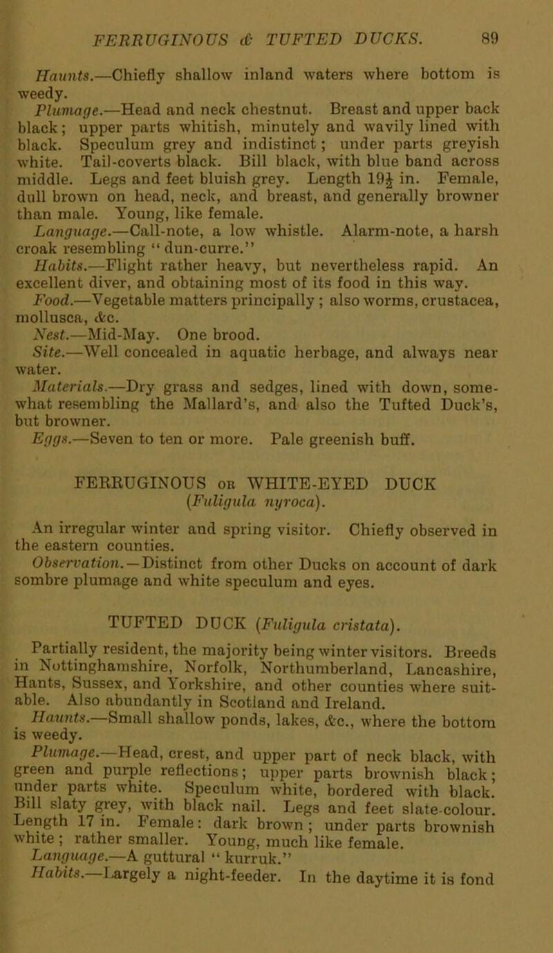 Haunts.—Chiefly shallow inland waters where bottom is weedy. Plumage.—Head and neck chestnut. Breast and upper back black; upper parts whitish, minutely and wavily lined with black. Speculum grey and indistinct; under parts greyish white. Tail-coverts black. Bill black, with blue band across middle. Legs and feet bluish grey. Length 19J in. Female, dull brown on head, neck, and breast, and generally browner than male. Young, like female. Language.—Call-note, a low whistle. Alarm-note, a harsh croak resembling “ dun-curre.” Habits.—Flight rather heavy, but nevertheless rapid. An excellent diver, and obtaining most of its food in this way. Food.—Vegetable matters principally; also worms, Crustacea, mollusca, Ac. Nest.—Mid-May. One brood. Site.—Well concealed in aquatic herbage, and always near water. Materials.—Dry grass and sedges, lined with down, some- what resembling the Mallard’s, and also the Tufted Duck’s, but browner. Eggs.—Seven to ten or more. Pale greenish buff. FERRUGINOUS on WHITE-EYED DUCK (Fuligula nyroca). An irregular winter and spring visitor. Chiefly observed in the eastern counties. Observation. — Distinct from other Ducks on account of dark sombre plumage and white speculum and eyes. TUFTED DUCK (Fuligula cristata). Partially resident, the majority being winter visitors. Breeds in Nottinghamshire, Norfolk, Northumberland, Lancashire, Hants, Sussex, and Yorkshire, and other counties where suit- able. Also abundantly in Scotland and Ireland. Haunts.—Small shallow ponds, lakes, Ac., where the bottom is weedy. Plumage.—Head, crest, and upper part of neck black, with green and purple reflections; upper parts brownish black; under parts white. Speculum white, bordered with black. Bill slaty grey, with black nail. Legs and feet slate-colour. Length 17 in. bemale: dark brown j under parts brownish white ; rather smaller. Young, much like female. Language.—A guttural “ kurruk.” Habits. Largely a night-feeder. In the daytime it is fond