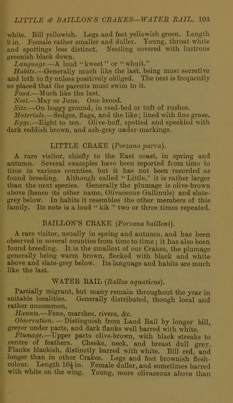 white. Bill yellowish. Legs and feet yellowish green. Lengtli 9 in. Female rather smaller and duller. Young, throat white and spottings less distinct. Nestling covered with lustrous greenish black down. Language.—A loud “kweet” or “whuit.” Habits.—Generally much like the last, being most secretive and loth to fly unless positively obliged. The nest is frequently so placed that the parents must swim to it. Food.— Much like the last. Nest.—May or June. One brood. Site.—On boggy ground, in reed-bed or tuft of rushes. Materials.—Sedges, flags, and the like ; lined with fine grass. Eggs.—Eight to ten. Olive-buff, spotted and speckled with dark reddish brown, and ash-grey under-markings. LITTLE CRAKE (Porzana parva). A rare visitor, chiefly to the East coast, in spring and autumn. Several examples have been reported from time to time in various counties, but it has not been recorded as found breeding. Although called “Little,” it is rather larger than the next species. Generally the plumage is olive-brown above (hence its other name, Olivaceous Gallinule) and slate- grey below. In habits it resembles the other members of this family. Its note is a loud “kik ” two or three times repeated. BAILLON’S CRAKE (Porzana bailloni). A rare visitor, usually in spring and autumn, and has been observed in several counties from time to time ; it has also been found breeding. It is the smallest of our Crakes, the plumage generally being warm brown, flecked with black and white above and slate-grey below. Its language and habits are much like the last. WATER RAIL (Rallus aquations). Partially migrant, but many remain throughout the year in suitable localities. Generally distributed, though local and rather uncommon, Haunts.—Fens, marshes, rivers, &c. Observation.—Distinguish from Land Rail by longer bill, greyer under parts, and dark flanks well barred with white. Plumage.—Upper parts olive-brown, with black streaks to centre of feathers. Cheeks, neck, and breast dull grey. Flanks blackish, distinctly barred with white. Bill red, and longer than in other Crakes. Legs and feet brownish flesh- colour. Length 10J in, Female duller, and sometimes barred with white on the wing. Young, more olivaceous above than