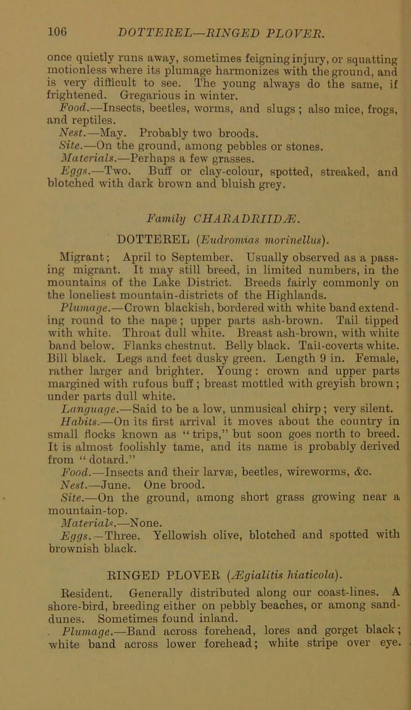 once quietly runs away, sometimes feigning injury, or squatting motionless where its plumage harmonizes with the ground, and is very difficult to see. The young always do the same, if frightened. Gregarious in winter. Food.—Insects, beetles, worms, and slugs ; also mice, frogs, and reptiles. Nest.—May. Probably two broods. Site.—On the ground, among pebbles or stones. Materials.—Perhaps a few grasses. Eggs.—Two. Buff or clay-colour, spotted, streaked, and blotched with dark brown and bluish grey. Family CHAR A DRUDGE. DOTTEREL (Eudromias morinellus). Migrant; April to September. Usually observed as a pass- ing migrant. It may still breed, in limited numbers, in the mountains of the Lake District. Breeds fairly commonly on the loneliest mountain-districts of the Highlands. Plumage.—Crown blackish, bordered with white band extend- ing round to the nape; upper parts ash-brown. Tail tipped with white. Throat dull white. Breast ash-brown, with white band below. Flanks chestnut. Belly black. Tail-coverts white. Bill black. Legs and feet dusky green. Length 9 in. Female, rather larger and brighter. Young: crown and upper parts margined with rufous buff ; breast mottled with greyish brown ; under parts dull white. Language.—Said to be a low, unmusical chirp ; very silent. Habits.—On its first arrival it moves about the country in small flocks known as “ trips,” but soon goes north to breed. It is almost foolishly tame, and its name is probably derived from “ dotard.” Food.—Insects and their larva;, beetles, wireworms, &c. Nest.—June. One brood. Site.—On the ground, among short grass growing near a mountain-top. Materials.-—None. Eggs. -Three. Yellowish olive, blotched and spotted with brownish black. RINGED PLOVER (JEgialitis hiaticola). Resident. Generally distributed along our coast-lines. A shore-bird, breeding either on pebbly beaches, or among sand- dunes. Sometimes found inland. Plumage.—Band across forehead, lores and gorget black; white band across lower forehead; white stripe over eye.