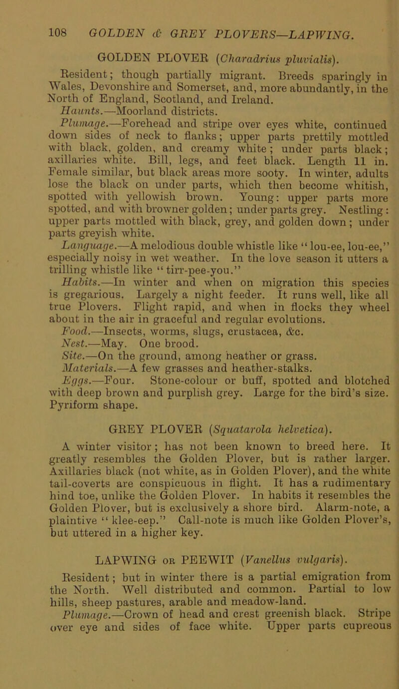 GOLDEN PLOVER (Charadrius pluvialis). Resident; though partially migrant. Breeds sparingly in Wales, Devonshire and Somerset, and, more abundantly, in the North of England, Scotland, and Ireland. Haunts.—Moorland districts. Plumage.—Forehead and stripe over eyes white, continued down sides of neck to flanks; upper parts prettily mottled with black, golden, and creamy white; under parts black; axillaries white. Bill, legs, and feet black. Length 11 in. Female similar, but black areas more sooty. In winter, adults lose the black on under parts, which then become whitish, spotted with yellowish brown. Young: upper parts more spotted, and with browner golden; under parts grey. Nestling : upper parts mottled with black, grey, and golden down; under parts greyish white. Language.—A melodious double whistle like “ lou-ee, lou-ee,” especially noisy in wet weather. In the love season it utters a trilling whistle like “ tirr-pee-you.” Habits.—In winter and when on migration this species is gregarious. Largely a night feeder. It runs well, like all true Plovers. Flight rapid, and when in flocks they wheel about in the air in graceful and regular evolutions. Food.—Insects, worms, slugs, Crustacea, &c. Nest.—May. One brood. Site.—On the ground, among heather or grass. Materials.—A few grasses and heather-stalks. Eggs.—Four. Stone-colour or buff, spotted and blotched with deep brown and purplish grey. Large for the bird’s size. Pyriform shape. GREY PLOVER (Squatarola Helvetica). A winter visitor; has not been known to breed here. It greatly resembles the Golden Plover, but is rather larger. Axillaries black (not white, as in Golden Plover), and the white tail-coverts are conspicuous in flight. It has a rudimentary hind toe, unlike the Golden Plover. In habits it resembles the Golden Plover, but is exclusively a shore bird. Alarm-note, a plaintive “ klee-eep.” Call-note is much like Golden Plover’s, but uttered in a higher key. LAPWING or PEEWIT (Vanellus vulgaris). Resident; but in winter there is a partial emigration from the North. Well distributed and common. Partial to low hills, sheep pastures, arable and meadow-land. Plumage.—Crown of head and crest greenish black. Stripe over eye and sides of face white. Upper parts cupreous