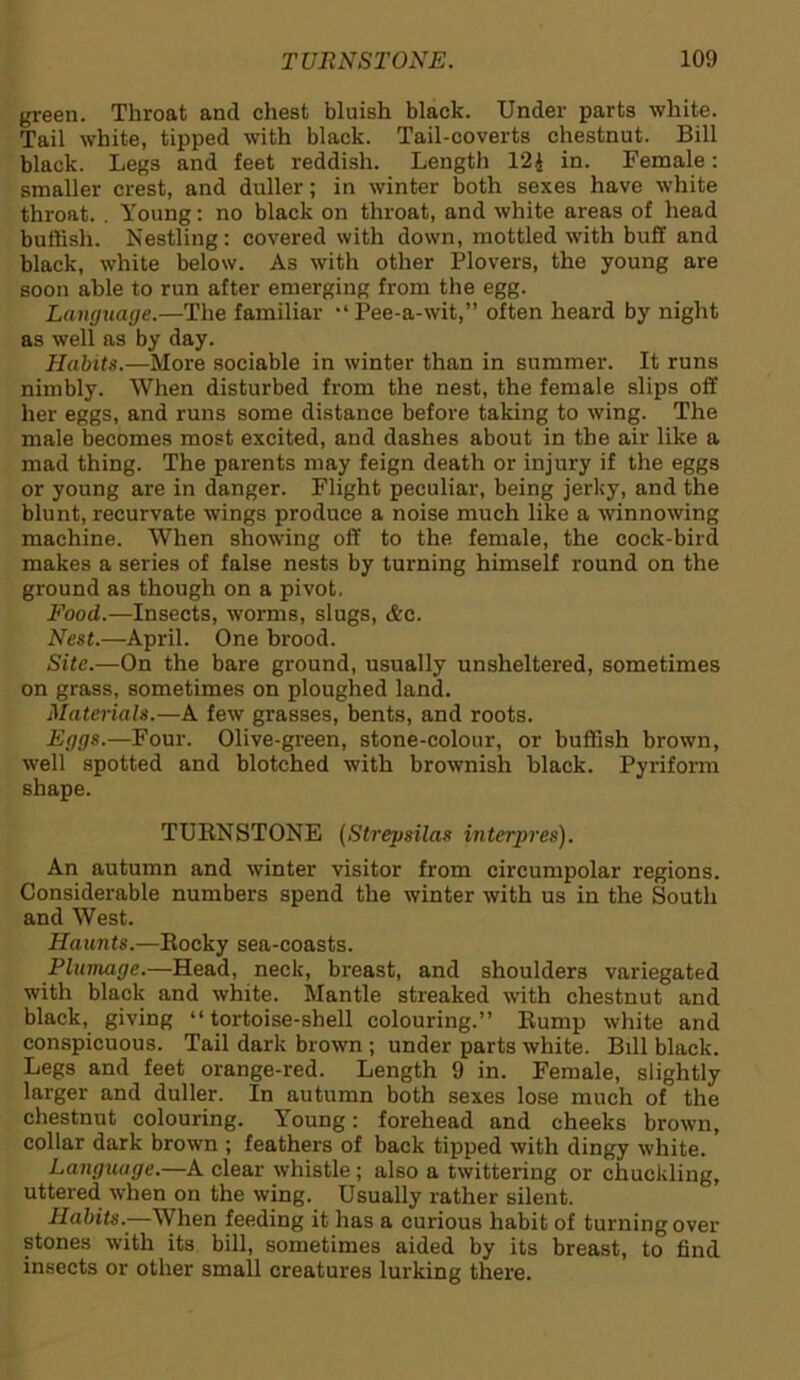 green. Throat and chest bluish black. Under parts white. Tail white, tipped with black. Tail-coverts chestnut. Bill black. Legs and feet reddish. Length 124 in. Female: smaller crest, and duller; in winter both sexes have white throat. . Young: no black on throat, and white areas of head huffish. Nestling: covered with down, mottled with buff and black, white below. As with other Plovers, the young are soon able to run after emerging from the egg. Language.—The familiar Pee-a-wit,” often heard by night as well as by day. Habits.—More sociable in winter than in summer. It runs nimbly. When disturbed from the nest, the female slips off her eggs, and runs some distance before taking to wing. The male becomes most excited, and dashes about in the air like a mad thing. The parents may feign death or injury if the eggs or young are in danger. Flight peculiar, being jerky, and the blunt, recurvate wings produce a noise much like a winnowing machine. When showing off to the female, the cock-bird makes a series of false nests by turning himself round on the ground as though on a pivot. Food.—Insects, worms, slugs, <&c. Nest.—April. One brood. Site.—On the bare ground, usually unsheltered, sometimes on grass, sometimes on ploughed land. Materials.—A few grasses, bents, and roots. Eggs.—Four. Olive-green, stone-colour, or buffish brown, well spotted and blotched with brownish black. Pyriform shape. TURNSTONE (Strepsilas interpres). An autumn and winter visitor from circumpolar regions. Considerable numbers spend the winter with us in the South and West. Haunts.—Rocky sea-coasts. Plumage.—Head, neck, breast, and shoulders variegated with black and white. Mantle streaked with chestnut and black, giving “tortoise-shell colouring.” Rump white and conspicuous. Tail dark brown ; under parts white. Bill black. Legs and feet orange-red. Length 9 in. Female, slightly larger and duller. In autumn both sexes lose much of the chestnut colouring. Young: forehead and cheeks brown, collar dark brown ; feathers of back tipped with dingy white. Language.—A clear whistle ; also a twittering or chuckling, uttered when on the wing. Usually rather silent. Habits.—When feeding it has a curious habit of turning over stones with its bill, sometimes aided by its breast, to find insects or other small creatures lurking there.
