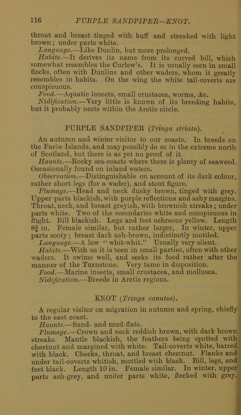 throat and breast tinged with buff and streaked with light brown ; under parts white. Language.—Like Dunlin, but more prolonged. Habits.—It derives its name from its curved bill, which somewhat resembles the Curlew’s. It is usually seen in small flocks, often with Dunlins and other waders, whom it greatly resembles in habits. On the wing the white tail-coverts are conspicuous. Food.—Aquatic insects, small Crustacea, worms, &c. Nidification.—Very little is known of its breeding habits, but it probably nests within the Arctic circle. PURPLE SANDPIPER (Tringa striata). An autumn and winter visitor to our coasts. In breeds on the Faroe Islands, and may possibly do so in the extreme north of Scotland, but there is as yet no proof of it. Haunts.—Rocky sea-coasts where there is plenty of seaweed. Occasionally found on inland waters. Observation.—Distinguishable on account of its dark colour, rather short legs (for a wader), and stout figure. Plumage.—Head and neck dusky brown, tinged with grey. Upper parts blackish, with purple reflections and ashy margins. Throat, neck, and breast greyish, with brownish streaks; under parts white. Two of the secondaries white and conspicuous in flight. Bill blackish. Legs and feet oehreous yellow. Length 8f in. Female similar, but rather larger, In winter, upper- parts sooty; breast dark ash-brown, indistinctly mottled. Language.—A low “ wliit-whit.” Usually very silent. Habits.—With us it is Seen in small parties, often with other waders. It swims well, and seeks its food rather after the manner of the Turnstone. Very tame in disposition. Food.—Marine insects, small Crustacea, and mollusca. Nidification.—Breeds in Arctic regions. KNOT (Tringa canutus). A regular visitor on migration in autumn and spring, chiefly to the east coast. Haunts.—Sand- and mud-flats. Pluviage.—Crown and neck reddish brown, with dark brown streaks. Mantle blackish, the feathers being spotted with chestnut and margined with white. Tail-coverts white, barred with black. Cheeks, throat, and breast chestnut. Flanks and under tail-coverts whitish, mottled with black. Bill, legs, and feet black. Length 10 in. Female similar. In winter, upper parts ash-grey, and under parts white, flecked with grey.