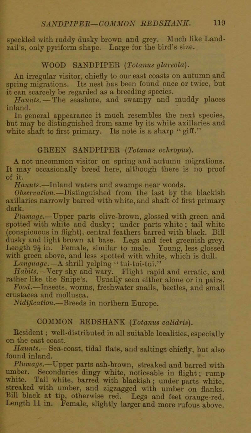 speckled with ruddy dusky brown and grey. Much like Land- rail's, only pyriform shape. Large for the bird’s size. WOOD SANDPIPER (Totanus glareola). An irregular visitor, chiefly to our east coasts on autumn and spring migrations. Its nest has been found once or twice, but it can scarcely be regarded as a breeding species. Haunts. — The seashore, and swampy and muddy places inland. In general appearance it much resembles the next species, but may be distinguished from same by its white axillaries and white shaft to first primary. Its note is a sharp “ giff.” GREEN SANDPIPER (Totanus ochropus). A not uncommon visitor on spring and autumn migrations. It may occasionally breed here, although there is no proof of it. Haunts.—Inland waters and swamps near woods. Observation.—Distinguished from the last by the blackish axillaries narrowly barred with white, and shaft of first primary dark. Plumage.—Upper parts olive-brown, glossed with green and spotted with white and dusky ; under parts white ; tail white (conspicuous in flight), central feathers barred with black. Bill dusky and light brown at base. Legs and feet greenish grey. Length 9i in. Female, similar to male. Young, less glossed with green above, and less spotted with white, which is dull. Language.— A shrill yelping “ tui-tui-tui.” Habits.—Very shy and wary. Flight rapid and erratic, and rather like the Snipe’s. Usually seen either alone or in pairs. Food.—Insects, worms, freshwater snails, beetles, and small Crustacea and mollusca. Nidification.—Breeds in northern Europe. COMMON REDSHANK (Totanus calidris). Resident; well-distributed in all suitable localities, especially on the east coast. Haunts.— Sea-coast, tidal flats, and saltings chiefly, but also found inland. Plumage.—Upper parts ash-brown, streaked and barred with umber. Secondaries dingy white, noticeable in flight; rump white. Tail white, barred with blackish; under parts white, streaked with umber, and zigzagged with umber on flanks. Bill black at tip, otherwise red. Legs and feet orange-red. Length 11 in. Female, slightly larger and more rufous above.