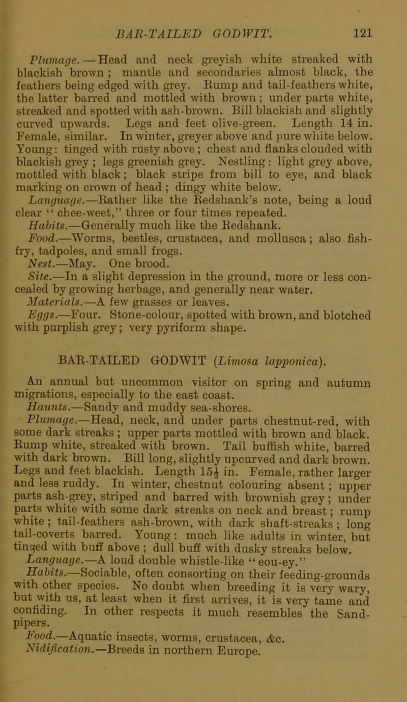 Plumage. — Head and neck greyish white streaked with blackish brown ; mantle and secondaries almost black, the feathers being edged with grey, llump and tail-feathers white, the latter barred and mottled with brown; under parts white, streaked and spotted with ash-brown. Bill blackish and slightly curved upwards. Legs and feet olive-green. Length 14 in. Female, similar. In winter, greyer above and pure white below. Young: tinged with rusty above ; chest and flanks clouded with blackish grey ; legs greenish grey. Nestling : light grey above, mottled with black; black stripe from bill to eye, and black marking on crown of head ; dingy white below. Language.—Bather like the Redshank’s note, being a loud clear “ chee-weet,” three or four times repeated. Habits.—Generally much like the Redshank. Food.—Worms, beetles, Crustacea, and mollusca; also fish- fry, tadpoles, and small frogs. Nest.—May. One brood. Site.—In a slight depression in the ground, more or less con- cealed by growing herbage, and generally near water. Materials.—A few grasses or leaves. Eggs.—Four. Stone-colour, spotted with brown, and blotched with purplish grey; very pyriform shape. BAR-TAILED GODWIT (Limosa lapponica). An annual but uncommon visitor on spring and autumn migrations, especially to the east coast. Haunts.—Sandy and muddy sea-shores. Plumage.—Head, neck, and under parts chestnut-red, with some dark streaks ; upper parts mottled with brown and black. Rump white, streaked with brown. Tail buflish white, barred with dark brown. Bill long, slightly upcurved and dark brown. Legs and feet blackish. Length 15J in. Female, rather larger and less ruddy. In winter, chestnut colouring absent; upper parts ash-grey, striped and barred with brownish grey; under parts white with some dark streaks on neck and breast; rump white; tail-feathers ash-brown, with dark shaft-streaks ; long tail-coverts barred. Young: much like adults in winter, but tinged with buff above ; dull buff with dusky streaks below. Language.—A loud double whistle-like “eou-ey.” Habits.—Sociable, often consorting on their feeding-grounds with other species. No doubt when breeding it is very wary, but with us, at least when it first arrives, it is very tame and confiding. In other respects it much resembles the Sand- pipers. Food.—Aquatic insects, worms, Crustacea, &c. Nidification.—Breeds in northern Europe.