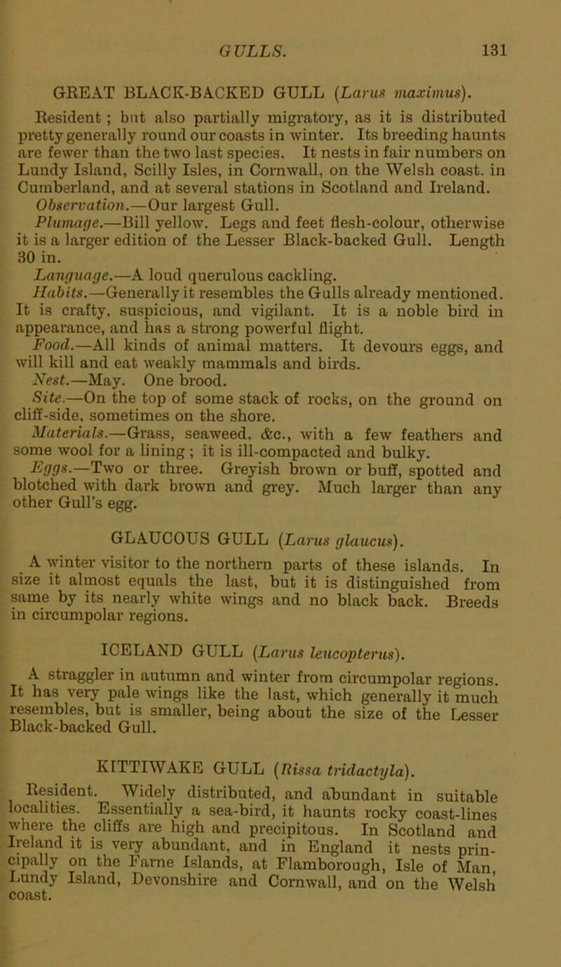GREAT BLACK-BACKED GULL (Larus maximus). Resident; but also partially migratory, as it is distributed pretty generally round our coasts in winter. Its breeding haunts are fewer than the two last species. It nests in fair numbers on Lundy Island, Scilly Isles, in Cornwall, on the Welsh coast, in Cumberland, and at several stations in Scotland and Ireland. Observation.—Our largest Gull. Plumage.—Bill yellow. Legs and feet flesh-colour, otherwise it is a larger edition of the Lesser Black-backed Gull. Length 30 in. Language.—A loud querulous cackling. Habits.—Generally it resembles the Gulls already mentioned. It is crafty, suspicious, and vigilant. It is a noble bird in appearance, and has a strong powerful flight. Food.—All kinds of animal matters. It devours eggs, and will kill and eat weakly mammals and birds. Nest.—May. One brood. Site.—On the top of some stack of rocks, on the ground on cliff-side, sometimes on the shore. Materials.—Grass, seaweed, Ac., with a few feathers and some wool for a lining ; it is ill-compacted and bulky. Eggs.—Two or three. Greyish brown or buff, spotted and blotched with dark brown and grey. Much larger than any other Gull’s egg. GLAUCOUS GULL (Larus glaucus). A winter visitor to the northern parts of these islands. In size it almost equals the last, but it is distinguished from same by its nearly white wings and no black back. Breeds in circumpolar regions. ICELAND GULL (Larus leucopterus). A straggler in autumn and winter from circumpolar regions. It has very pale wings like the last, which generally it much resembles, but is smaller, being about the size of the Lesser Black-backed Gull. K1TTIWAKE GULL (Ilissa tridactyla). Resident. Widely distributed, and abundant in suitable localities. Essentially a sea-bird, it haunts rocky coast-lines where the cliffs are high and precipitous. In Scotland and Ireland it is very abundant, and in England it nests prin- cipally on the Fame Islands, at Flamborough, Isle of Man, Lundy Island, Devonshire and Cornwall, and on the Welsh coast.