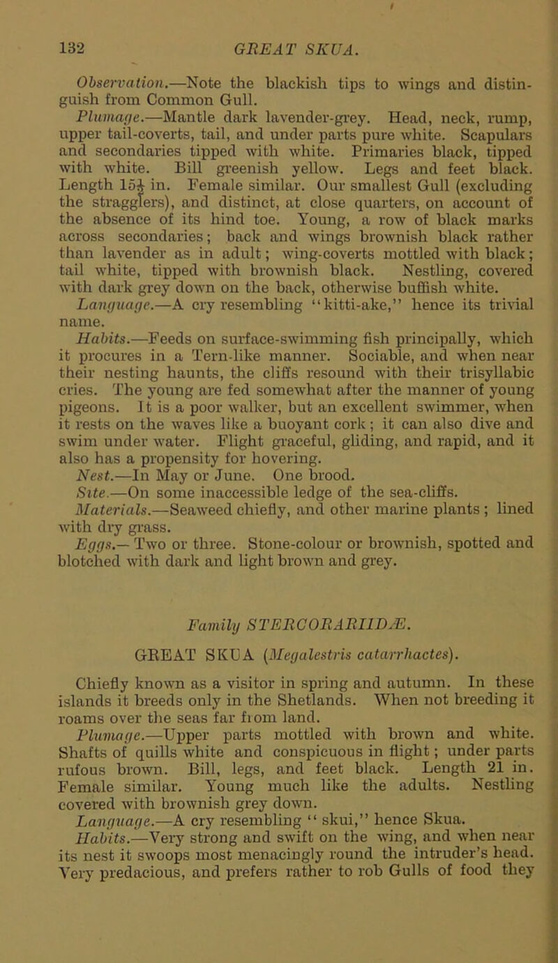 Observation.—Note the blackish tips to wings and distin- guish from Common Gull. Plumage.—Mantle dark lavender-grey. Head, neck, rump, upper tail-coverts, tail, and under parts pure white. Scapulars and secondaries tipped with white. Primaries black, tipped with white. Bill greenish yellow. Legs and feet black. Length 15^ in. Female similar. Our smallest Gull (excluding the stragglers), and distinct, at close quarters, on account of the absence of its hind toe. Young, a row of black marks across secondaries; back and wings brownish black rather than lavender as in adult; wing-coverts mottled with black; tail white, tipped with brownish black. Nestling, covered with dark grey down on the back, otherwise huffish white. Language.—A cry resembling “kitti-ake,” hence its trivial name. Habits.—Feeds on surface-swimming fish principally, which it procures in a Tern-like manner. Sociable, and when near their nesting haunts, the cliffs resound with their trisyllabic cries. The young are fed somewhat after the manner of young pigeons. 11 is a poor walker, but an excellent swimmer, when it rests on the waves like a buoyant cork; it can also dive and swim under water. Flight graceful, gliding, and rapid, and it also has a propensity for hovering. Nest.—In May or June. One brood. Site.—On some inaccessible ledge of the sea-cliffs. Materials.—Seaweed chiefly, and other marine plants ; lined with dry grass. Eggs.— Two or three. Stone-colour or brownish, spotted and blotched with dark and light brown and grey. Family STERCORARI1D.E. GREAT SKUA (Megalestns catarrhactes). Chiefly known as a visitor in spring and autumn. In these islands it breeds only in the Shetlands. When not breeding it roams over the seas far fiom land. Plumage.—Upper parts mottled with brown and white. Shafts of quills white and conspicuous in flight; under parts rufous brown. Bill, legs, and feet black. Length 21 in. Female similar. Young much like the adults. Nestling covered with brownish grey down. Language.—A cry resembling “ skui,” hence Skua. Habits.—Very strong and swift on the wing, and when near its nest it swoops most menacingly round the intruder’s head. Very predacious, and prefers rather to rob Gulls of food they