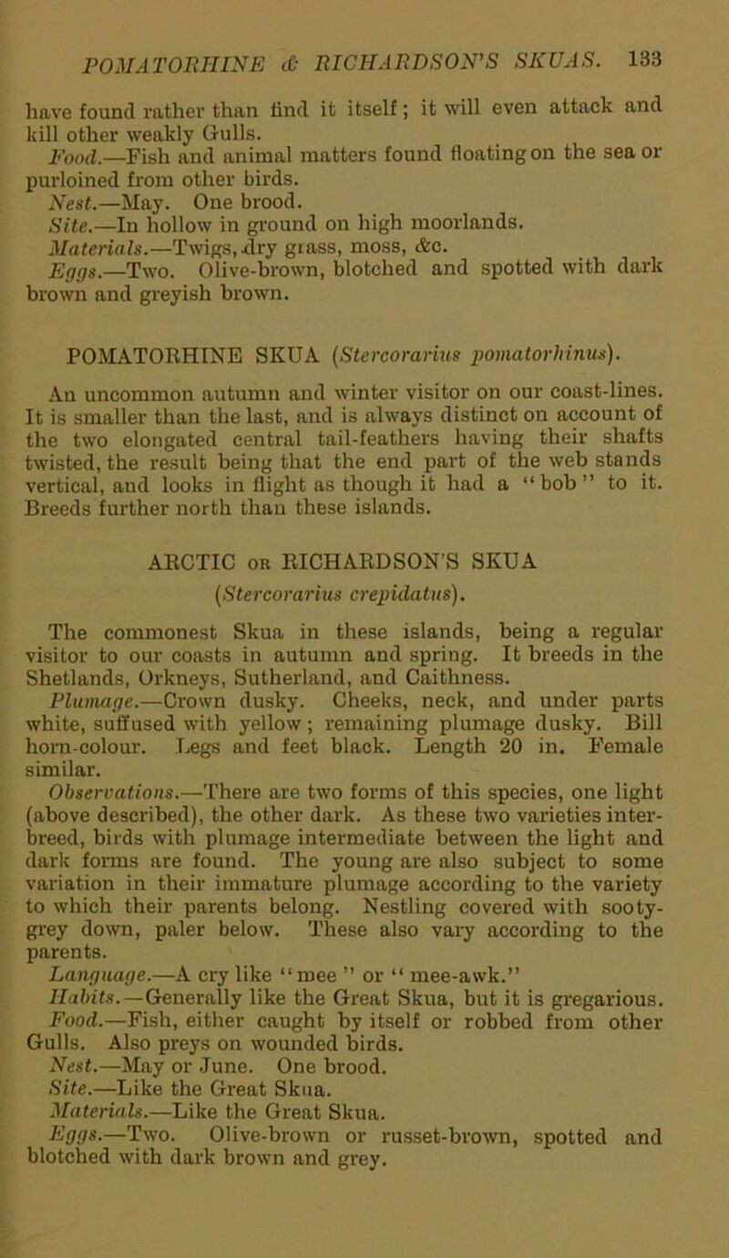 have found rather than find it itself; it will even attack and kill other weakly Gulls. Food.—Fish and animal matters found floating on the sea or purloined from other birds. Nest.—May. One brood. Site.—In hollow in ground on high moorlands. Materials.—Twigs, dry grass, moss, &c. Eggs.—Two. Olive-brown, blotched and spotted with dark brown and greyish brown. POMATORHINE SKUA (Stercoranus pomatorhinus). An uncommon autumn and winter visitor on our coast-lines. It is smaller than the last, and is always distinct on account of the two elongated central tail-feathers having their shafts twisted, the result being that the end part of the web stands vertical, and looks in flight as though it had a “bob” to it. Breeds further north than these islands. ARCTIC or RICHARDSON’S SKUA (Stercorarius crepidatus). The commonest Skua in these islands, being a regular visitor to our coasts in autumn and spring. It breeds in the Shetlands, Orkneys, Sutherland, and Caithness. Plumage.—Crown dusky. Cheeks, neck, and under parts white, suffused with yellow; remaining plumage dusky. Bill hom-colour. Legs and feet black. Length 20 in. Female similar. Observations.—There are two forms of this species, one light (above described), the other dark. As these two varieties inter- breed, birds with plumage intermediate between the light and dark forms are found. The young are also subject to some variation in their immature plumage according to the variety to which their parents belong. Nestling covered with sooty- grey down, paler below. These also vary according to the parents. Language.—A cry like “mee ” or “ mee-awk.” Habits.—Generally like the Great Skua, but it is gregarious. Food.—Fish, either caught by itself or robbed from other Gulls. Also preys on wounded birds. Nest.—May or June. One brood. Site.—Like the Great Skua. Materials.—Like the Great Skua. Eggs.—Two. Olive-brown or russet-brown, spotted and blotched with dark brown and grey.