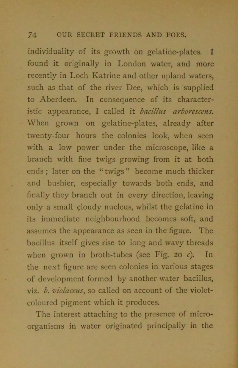 individuality of its growth on gelatine-plates. I found it originally in London water, and more recently in Loch Katrine and other upland waters, such as that of the river Dee, which is supplied to Aberdeen. In consequence of its character- istic appearance, I called it bacillus arborcsccns. When grown on gelatine-plates, already after twenty-four hours the colonies look, when seen with a low power under the microscope, like a branch with fine twigs growing from it at both ends ; later on the “ twigs ” become much thicker and bushier, especially towards both ends, and finally they branch out in every direction, leaving only a small cloudy nucleus, whilst the gelatine in its immediate neighbourhood becomes soft, and assumes the appearance as seen in the figure. The bacillus itself gives rise to long and wavy threads when grown in broth-tubes (see Fig. 20 c). In the next figure are seen colonies in various stages of development formed by another water bacillus, viz. b. violaceus, so called on account of the violet- coloured pigment which it produces. The interest attaching to the presence of micro- organisms in water originated principally in the