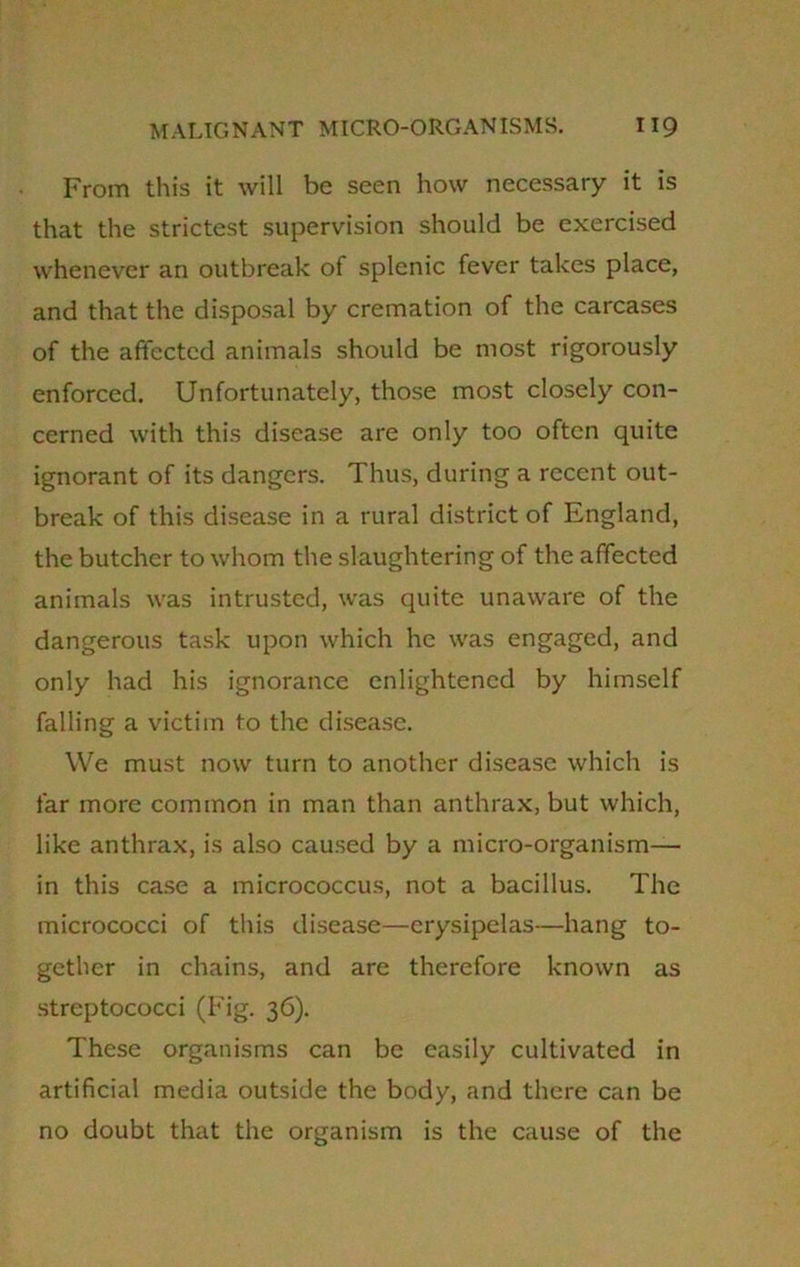 From this it will be seen how necessary it is that the strictest supervision should be exercised whenever an outbreak of splenic fever takes place, and that the disposal by cremation of the carcases of the affected animals should be most rigorously enforced. Unfortunately, those most closely con- cerned with this disease are only too often quite ignorant of its dangers. Thus, during a recent out- break of this disease in a rural district of England, the butcher to whom the slaughtering of the affected animals was intrusted, was quite unaware of the dangerous task upon which he was engaged, and only had his ignorance enlightened by himself falling a victim to the disease. We must now turn to another disease which is far more common in man than anthrax, but which, like anthrax, is also caused by a micro-organism— in this case a micrococcus, not a bacillus. The micrococci of this disease—erysipelas—hang to- gether in chains, and are therefore known as streptococci (Fig. 36). These organisms can be easily cultivated in artificial media outside the body, and there can be no doubt that the organism is the cause of the