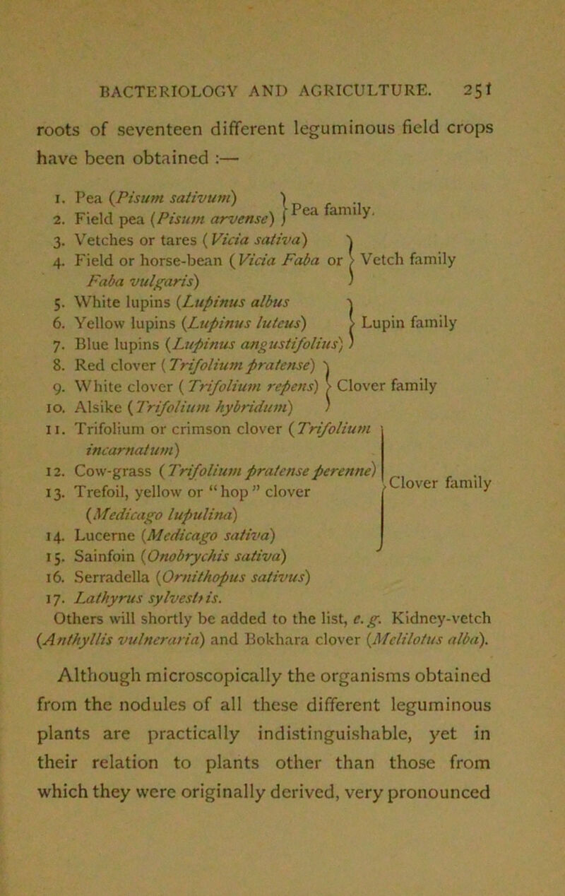roots of seventeen different leguminous field crops have been obtained :— 1. 2. 3- 4- Lupin family Pea (Pisum sativum) ) Field pea (Pisum arvense) ) ea ami Vetches or tares (Vida sativa) Field or horse-bean ( Vida Faba or / Vetch family Faba vulgaris) ' 5. White lupins (Lupitius albus 6. Yellow lupins (Lupinus lute US') 7. Blue lupins (Lupinus angustifolius) ) 8. Red clover (Trifolium prate use) \ 9. White clover ( Trifolium ?-epens) > Clover family 10. Alsike ( Trifolium hybriduni) ) 11. Trifolium or crimson clover (Trifolium incarnatum) 12. Cow-grass ( Trifolium prate use perenne) 13. Trefoil, yellow or “hop” clover {Medicago lupulimi) 14. Lucerne (.Medicago sativa) 15. Sainfoin (Onobrychis sativa) 16. Serradella (Ornithopus sativus) 17. Lathyrus sylveshis. Others will shortly be added to the list, e. g. Kidney-vetch {Anthyl/is vulneraria) and Bokhara clover (Melilotus alba). I Clover family Although microscopically the organisms obtained from the nodules of all these different leguminous plants are practically indistinguishable, yet in their relation to plants other than those from which they were originally derived, very pronounced