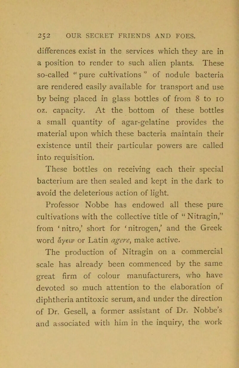 differences exist in the services which they are in a position to render to such alien plants. These so-called “ pure cultivations ” of nodule bacteria are rendered easily available for transport and use by being placed in glass bottles of from 8 to io oz. capacity. At the bottom of these bottles a small quantity of agar-gelatine provides the material upon which these bacteria maintain their existence until their particular powers are called into requisition. These bottles on receiving each their special bacterium are then sealed and kept in the dark to avoid the deleterious action of light. Professor Nobbe has endowed all these pure cultivations with the collective title of “Nitragin,” from ‘ nitro/ short for ‘nitrogen/ and the Greek word ayeiv or Latin agere, make active. The production of Nitragin on a commercial scale has already been commenced by the same great firm of colour manufacturers, who have devoted so much attention to the elaboration of diphtheria antitoxic serum, and under the direction of Dr. Gesell, a former assistant of Dr. Nobbc’s and associated with him in the inquiry, the work