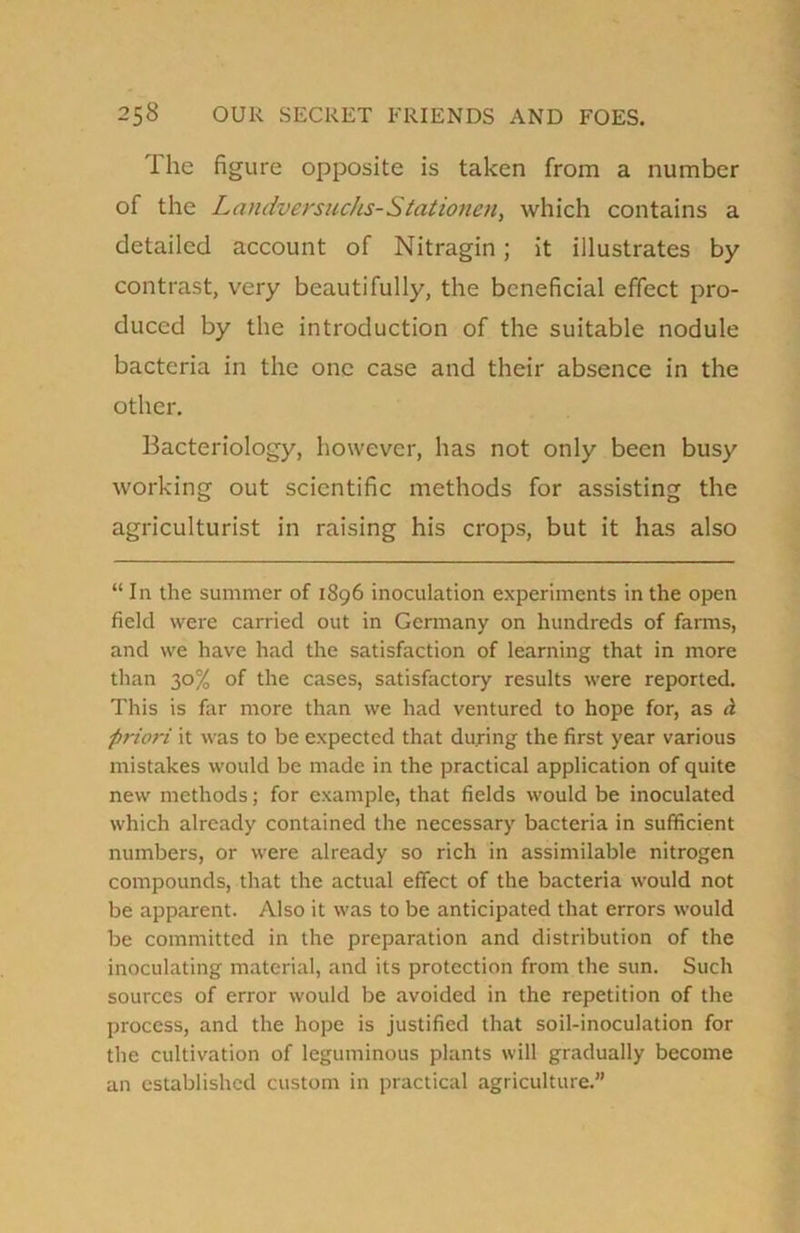 f he figure opposite is taken from a number of the Landversucks-Stationen, which contains a detailed account of Nitragin; it illustrates by contrast, very beautifully, the beneficial effect pro- duced by the introduction of the suitable nodule bacteria in the one case and their absence in the other. Bacteriology, however, has not only been busy working out scientific methods for assisting the agriculturist in raising his crops, but it has also “In the summer of 1896 inoculation experiments in the open field were carried out in Germany on hundreds of farms, and we have had the satisfaction of learning that in more than 30% of the cases, satisfactory results were reported. This is far more than we had ventured to hope for, as d 'priori it was to be expected that during the first year various mistakes would be made in the practical application of quite new methods; for example, that fields would be inoculated which already contained the necessary bacteria in sufficient numbers, or were already so rich in assimilable nitrogen compounds, that the actual effect of the bacteria would not be apparent. Also it was to be anticipated that errors would be committed in the preparation and distribution of the inoculating material, and its protection from the sun. Such sources of error would be avoided in the repetition of the process, and the hope is justified that soil-inoculation for the cultivation of leguminous plants will gradually become an established custom in practical agriculture.”
