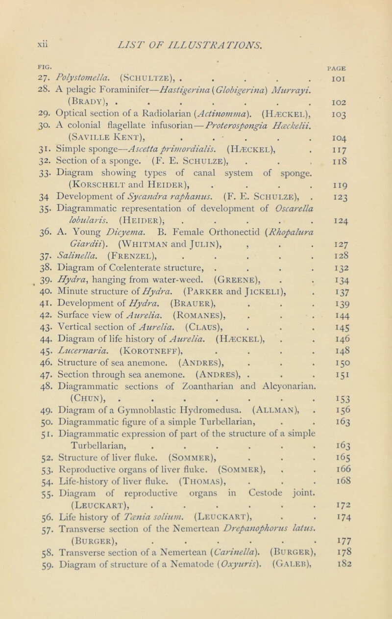 FIG. PAGE 27. Polystomella. (Schultze), ..... 101 28. A pelagic Foraminifer—Hastigerina (Globigerina) Murrayi. (Brady), ....... 102 29. Optical section of a Radiolarian (Actinomma). (Haeckel), 103 30. A colonial flagellate infusorian — Proterospongia Hceckelii. (Saville Kent), . . - . . . 104 31. Simple sponge—Ascetta primordialis. (ELeckel), . 117 32. Section of a sponge. (F. E. Schulze), . . .118 33. Diagram showing types of canal system of sponge. (Korschelt and Heider), . . . .119 34 Development of Sycandra raphanus. (F. E. Schulze), . 123 35. Diagrammatic representation of development of Oscarella lobularis. (FIeider), ..... 124 36. A. Young Dicyet?ia. B. Female Orthonectid (Rhopalura Giardii). (Whitman and Julin), , . . 127 37. Salinella. (Frenzel), . . . . .128 38. Diagram of Coelenterate structure, . . . .132 39. Hydra, hanging from water-weed. (Greene), . . 134 40. Minute structure of Hydra. (Parker and Jickeli), . 137 41. Development of Hydra. (Brauer), . . 139 42. Surface view of Aurelia. (Romanes), . . . 144 43. Vertical section of Aurelia. (Claus), . . . 145 44. Diagram of life history of Aurelia. (HHiCKEL), . . 146 45. Lucernaria. (Korotneff), .... 148 46. Structure of sea anemone. (Andres), . . .150 47. Section through sea anemone. (Andres), . . . 151 48. Diagrammatic sections of Zoantharian and Alcyonarian. (Chun), ....... 153 49. Diagram of a Gymnoblastic Hydromedusa. (Allman), . 156 50. Diagrammatic figure of a simple Turbellarian, . . 163 51. Diagrammatic expression of part of the structure of a simple Turbellarian, . . . . . .163 52. Structure of liver fluke. (Sommer), . . . 165 53. Reproductive organs of liver fluke. (Sommer), . . 166 54. Life-history of liver fluke. (Thomas), . . . 168 55. Diagram of reproductive organs in Cestode joint. (Leuckart), . . . . . .172 56. Life history of Tania solium. (Leuckart), . . 174 57. Transverse section of the Nemertean Drepanophorus latus. (Burger), ...... 177 58. Transverse section of a Nemertean (Carinella). (Burger), 178 59. Diagram of structure of a Nematode (Oxyuris). (Caleb), 182