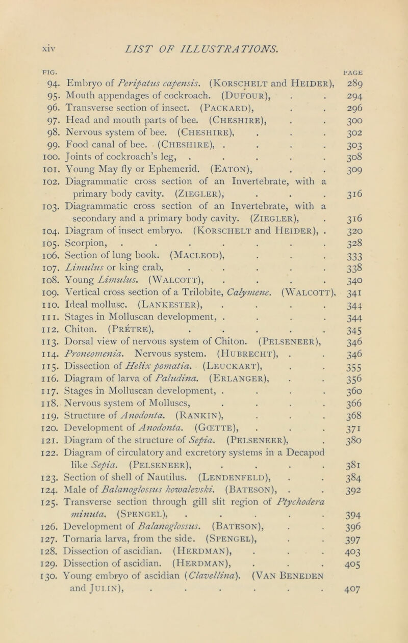 FIG. 94. Embryo of Peripatus capensis. (Korschelt and Heider), 95. Mouth appendages of cockroach. (Dufour), 96. Transverse section of insect. (Packard), 97. Head and mouth parts of bee. (Cheshire), 98. Nervous system of bee. (Cheshire), 99. Food canal of bee. (Cheshire), .... 100. Joints of cockroach’s leg, ..... 101. Young May fly or Ephemerid. (Eaton), 102. Diagrammatic cross section of an Invertebrate, with a primary body cavity. (Ziegler), 103. Diagrammatic cross section of an Invertebrate, with a secondary and a primary body cavity. (Ziegler), 104. Diagram of insect embryo. (Korschelt and Heider), . 105. Scorpion, ....... 106. Section of lung book. (Macleod), 107. Limulus or king crab, ..... 108. Young Livmlus. (Walcott), .... 109. Vertical cross section of a Trilobite, Calymene. (Walcott), 110. Ideal mollusc. (Lankester), .... hi. Stages in Molluscan development, .... 112. Chiton. (Pretre), ..... 113. Dorsal view of nervous system of Chiton. (Pelseneer), 114. Proneomenia. Nervous system. (Hubrecht), . 115. Dissection of Helixpomatia. (Leuckart), 116. Diagram of larva of Paludina. (Erlanger), 117. Stages in Molluscan development, .... 118. Nervous system of Molluscs, .... 119. Structure of Anodonta. (Rankin), 120. Development of Anodonta. (Gcette), 121. Diagram of the structure of Sepia. (Pelseneer), 122. Diagram of circulatory and excretory systems in a Decapod like Sepia. (Pelseneer), .... 123. Section of shell of Nautilus. (Lendenfeld), 124. Male of Balanoglossus kowalevski. (Bateson), . 125. Transverse section through gill slit region of Ptychodera minuta. (Stengel), ..... 126. Development of Balanoglossus. (Bateson), 127. Tornaria larva, from the side. (Stengel), 128. Dissection of ascidian. (Herdman), 129. Dissection of ascidian. (Herdman), 130. Young embryo of ascidian (Clavellina). (Van Beneden andJui.iN), ...... FACE 289 294 296 3°° 302 303 308 309 316 316 320 328 340 341 344 344 345 346 346 355 356 360 366 368 37i 380 381 384 392 394 396 397 403 405 407