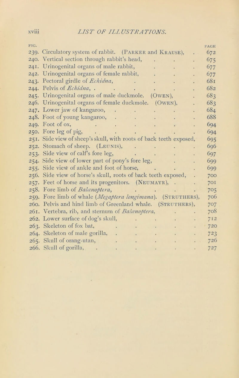 FIG. PAGE 239. Circulatory system of rabbit. (Parker and Krause), . 672 240. Vertical section through rabbit’s head, . . . 675 241. Urinogenital organs of male rabbit, . . .677 242. Urinogenital organs of female rabbit, . . . 677 243. Pectoral girdle of Echidna, . . . .681 244. Pelvis of Echidna, ...... 682 245. Urinogenital organs of male duckmole. (Owen), . 683 246. Urinogenital organs of female duckmole. (Owen), . 683 247. Lower jaw of kangaroo, ..... 684 248. Foot of young kangaroo, ..... 688 249. Foot of ox, . . . . . . 694 250. Fore leg of pig, ...... 694 251. Side view of sheep’s skull, with roots of back teeth exposed, 695 252. Stomach of sheep. (Leunis), .... 696 253. Side view of calf’s fore leg, .... 697 254. Side view of lower part of pony’s fore leg, . . 699 255. Side vievt of ankle and foot of horse, . . . 699 256. Side view of horse’s skull, roots of back teeth exposed, . 700 257. Feet of horse and its progenitors. (Neumayr), . . 701 258. Fore limb of Balccnoptera, .... 705 259. Fore limb of whale (Megaptera longimana). (Struthers), 706 260. Pelvis and hind limb of Greenland whale. (Struthers), 707 261. Vertebra, rib, and sternum of Balcenoptera, . . 70S 262. Lower surface of dog’s skull, .... 712 263. Skeleton of fox bat, ..... 720 264. Skeleton of male gorilla, ..... 723 265. Skull of orang-utan, ..... 726 266. Skull of gorilla, ...... 727