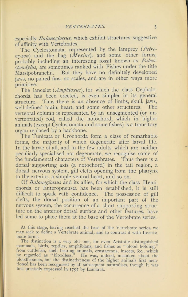especially Balanoglossus, which exhibit structures suggestive of affinity with Vertebrates. The Cyclostomata, represented by the lamprey (Petro- myzon) and the hag (Myxine), and some other forms, probably including an interesting fossil known as Pa/ao- spondylus, are sometimes ranked with Fishes under the title Marsipobranchii. But they have no definitely developed jaws, no paired fins, no scales, and are in other ways more primitive. The lancelet (Amphioxus), for which the class Cephalo- chorda has been erected, is even simpler in its general structure. Thus there is an absence of limbs, skull, jaws, well-defined brain, heart, and some other structures. The vertebral column is represented by an unsegmented (or un- vertebrated) rod, called the notochord, which in higher animals (except Cyclostomata and some fishes) is a transitory organ replaced by a backbone. The Tunicata or Urochorda form a class of remarkable forms, the majority of which degenerate after larval life. In the larvae of all, and in the few adults which are neither peculiarly specialised nor degenerate, we recognise some of the fundamental characters of Vertebrates. Thus there is a dorsal supporting axis (a notochord) in the tail region, a dorsal nervous system, gill clefts opening from the pharynx to the exterior, a simple ventral heart, and so on. Of Balanoglossus and its allies, for which the class Hemi- chorda or Enteropneusta has been established, it is still difficult to speak with confidence. The possession of gill clefts, the dorsal position of an important part of the nervous system, the occurrence of a short supporting struc- ture on the anterior dorsal surface and other features, have led some to place them at the base of the Vertebrate series. At this stage, having reached the base of the Vertebrate series, we may seek to define a Vertebrate animal, and to contrast it with Inverte- brate forms. The distinction is a very old one, for even Aristotle distinguished mammals, birds, reptiles, amphibians, and fishes as “blood holding,” from cuttlefish, shell bearing animals, crustaceans, insects, &c., which he regarded as “bloodless.” He was, indeed, mistaken about the bloodlessness, but the distinctiveness of the higher animals first men- tioned has been recognised by all subsequent naturalists, though it was first precisely expressed in 1797 by Lamarck.