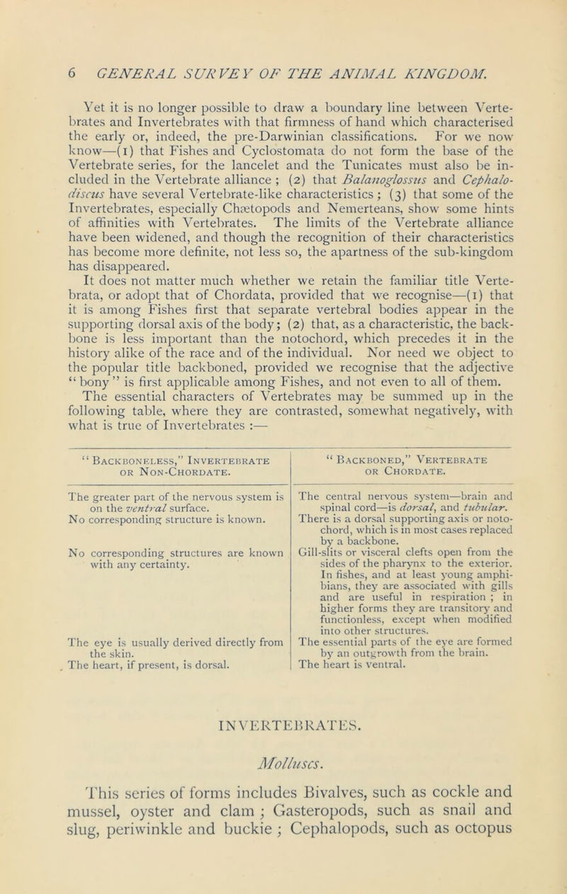 Yet it is no longer possible to draw a boundary line between Verte- brates and Invertebrates with that firmness of hand which characterised the early or, indeed, the pre-Darwinian classifications. For we now know—(i) that Fishes and Cyclostomata do not form the base of the Vertebrate series, for the lancelet and the Tunicates must also be in- cluded in the Vertebrate alliance ; (2) that Balanoglosszts and Ccphalo- discus have several Vertebrate-like characteristics ; (3) that some of the Invertebrates, especially Chsetopods and Nemerteans, show some hints of affinities with Vertebrates. The limits of the Vertebrate alliance have been widened, and though the recognition of their characteristics has become more definite, not less so, the apartness of the sub-kingdom has disappeared. It does not matter much whether we retain the familiar title Verte- brata, or adopt that of Chordata, provided that we recognise—(1) that it is among Fishes first that separate vertebral bodies appear in the supporting dorsal axis of the body; (2) that, as a characteristic, the back- bone is less important than the notochord, which precedes it in the history alike of the race and of the individual. Nor need we object to the popular title backboned, provided we recognise that the adjective “ bony ” is first applicable among Fishes, and not even to all of them. The essential characters of Vertebrates may be summed up in the following table, where they are contrasted, somewhat negatively, with what is true of Invertebrates :— “ Backboneless,” Invertebrate or Non-Chordate. The greater part of the nervous system is on the ventral surface. No corresponding structure is known. No corresponding structures are known with any certainty. The eye is usually derived directly from the skin. The heart, if present, is dorsal. “ Backboned,” Vertebrate or ChordaTe. The central nervous system—brain and spinal cord—is dorsal, and tubular. There is a dorsal supporting axis or noto- chord, which is in most cases replaced by a backbone. Gill-slits or visceral clefts open from the sides of the pharynx to the exterior. In fishes, and at least young amphi- bians, they are associated with gills and are useful in respiration ; in higher forms they are transitory and functionless, except when modified into other structures. The essential parts of the eye are formed by an outgrowth from the brain. The heart is ventral. INVERTEBRATES. Molluscs. This series of forms includes Bivalves, such as cockle and mussel, oyster and clam ; Gasteropods, such as snail and slug, periwinkle and buckie ; Cephalopods, such as octopus