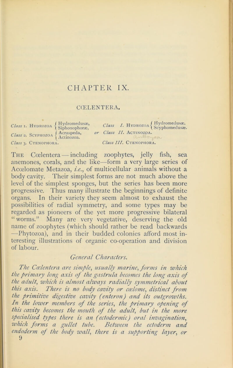 CHAPTER IX. CCELENTERA. Class i. Hydrozoa Class 2. Scyphozoa I Hydromedusae, l Siphonophorae, ( Acraspeda, | Actinozoa. Class 3. Ctenophora. /• Hv^oZoA{g“ or Class II. Actinozoa. Class III. Ctenophora. The Ccelentera — including zoophytes, jelly fish, sea anemones, corals, and the like—form a very large series of Accelomate Metazoa, i.e., of multicellular animals without a body cavity. Their simplest forms are not much above the level of the simplest sponges, but the series has been more progressive. Thus many illustrate the beginnings of definite organs. In their variety they seem almost to exhaust the possibilities of radial symmetry, and some types may be regarded as pioneers of the yet more progressive bilateral “worms.” Many are very vegetative, deserving the old name of zoophytes (which should rather be read backwards —Phytozoa), and in their budded colonies afford most in- teresting illustrations of organic co-operation and division of labour. General Characters. The Coelentera are simple, usually marine, forms in which the primary long axis of the gastrula becomes the long axis of the adult, which is almost alivays radially symmetrical about this axis. There is no body cavity or coelome, distinct from the primitive digestive cavity (enteron) and its outgrowths. In the lower members of the series, the primary opening of this cavity becomes the mouth of the adult, but in the more specialised types there is an (ectodermic) oral invagination, which forms a gullet tube. Between the ectoderm and endoderm of the body wall, there is a supporting layer, or