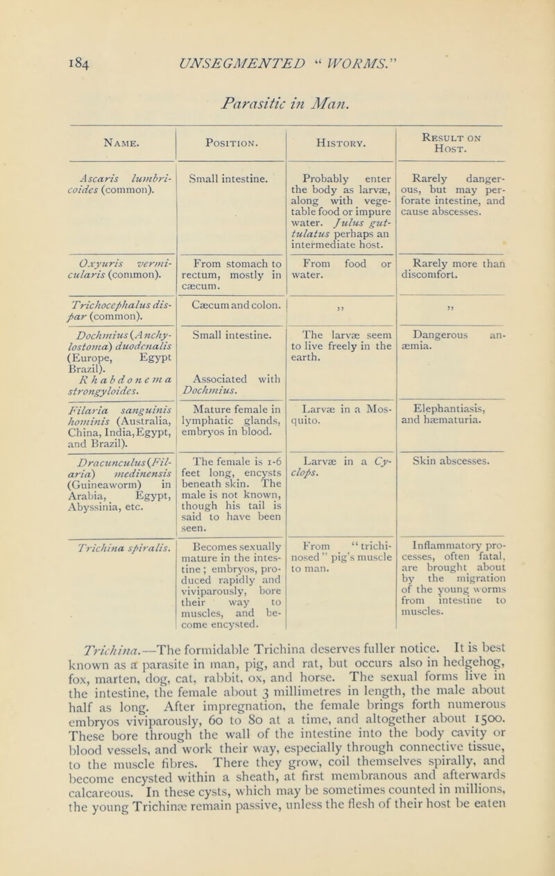 Parasitic in Man. N AME. Position. History. Result on Host. A scaris lumbri- coidcs (common). Small intestine. Probably enter the body as larvae, along with vege- table food or impure water. Julus gut- tulatus perhaps an intermediate host. Rarely danger- ous, but may per- forate intestine, and cause abscesses. O.vyuris vervii- cularis (common). From stomach to rectum, mostly in caecum. F rom food or water. Rarely more than discomfort. Trichoccphalus dis- par (common). Caecum and colon. 1 ,, >> Dochmius (A nchy- lostoma) duodcnalis (Europe, Egypt Brazil). R hab do tie via strongyloides. Small intestine. Associated with Dochmius. The larvae seem to live freely in the earth. Dangerous an- aemia. Filaria sanguinis hominis (Australia, China, India,Egypt, and Brazil). Mature female in lymphatic glands, embryos in blood. Larvae in a Mos- quito. Elephantiasis, and haematuria. Dracunculus (Fi l- aria) rnedinensis (Guineaworm) in Arabia, Egypt, Abyssinia, etc. The female is 1-6 feet long, encysts beneath skin. The male is not known, though his tail is said to have been seen. Larvae in a Cy- clops. Skin abscesses. Trichina spiralis. Becomes sexually mature in the intes- tine ; embryos, pro- duced rapidly and viviparously, bore their way to muscles, and be- come encysted. From “ trichi- nosed ” pig’s muscle to man. Inflammatory' pro- cesses, often fatal, are brought about by the migration of the young worms from intestine to muscles. Trichina.—The formidable Trichina deserves fuller notice. It is best known as a parasite in man, pig, and rat, but occurs also in hedgehog, fox, marten, dog, cat, rabbit, ox, and horse. The sexual forms live in the intestine, the female about 3 millimetres in length, the male about half as long. After impregnation, the female brings forth numerous embryos viviparously, 60 to 80 at a time, and altogether about 1500. These bore through the wall of the intestine into the body cavity or blood vessels, and work their way, especially through connective tissue, to the muscle fibres. There they grow, coil themselves spirally, and become encysted within a sheath, at first membranous and afterwards calcareous. In these cysts, which may be sometimes counted in millions, the young Trichinte remain passive, unless the flesh of their host be eaten
