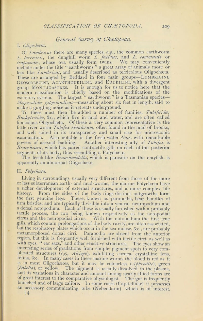 General Survey of Chcetopoda. I. Oligochceta. Of Lumbricus there are many species, e.g., the common earthworm L. terrestris, the dunghill worm L. fcduius, and L. communis or trapezoides, whose ova usually form twins. We may conveniently include under the title “ earthworms ” a great array of animals more or less like Lumbricus, and usually described as terricolous Oligochceta. These are arranged by Beddard in four main groups—Lumbricini, Geoscolecini, Acanthodrilini, and Eudrilini, with a divergent group Moniligastres. It is enough for us to notice here that the modern classification is chiefly based on the modifications of the excretory system. The largest “ earthworm ” is a Tasmanian species— Megascolides gippslandicus—measuring about six feet in length, said to make a gurgling noise as it retreats underground. To these must then be added a number of families, Tubificidce, Enchytneidce, &c., which live in mud and water, and are often called limicolous Oligochceta. Of these a very common representative is the little river worm Tubifex rivulorum, often found in the mud of brooks, and well suited in its transparency and small size for microscopic examination. Also notable is the fresh water Nais, with remarkable powers of asexual budding. Another interesting ally of Tubifex is Branchiura, which has paired contractile gills on each of the posterior segments of its body, thus resembling a Polychcete. The leech-like Branchiobdella, which is parasitic on the crayfish, is apparently an abnormal Oligochcete. II. Polychccta. Living in surroundings usually very different from those of the more or less subterranean earth- and mud-worms, the marine Polychceta have a richer development of external structures, and a more complex life history. From the sides of the body rings distinct outgrowths form the first genuine legs. These, known as parapodia, bear bundles of firm bristles, and are typically divisible into a ventral neuropodium and a dorsal notopodium. Each of these is usually furnished with a probably tactile process, the two being known respectively as the notopodial cirrus and the neuropodial cirrus. With the notopodium the first true gills, which contain prolongations of the body cavity, are often associated, but the respiratory plates which occur in the sea mouse, &c., are probably metamorphosed dorsal cirri. Parapodia are absent from the anterior region, but this is frequently well furnished with tactile cirri, as well as with eyes, “ ear sacs,” and other sensitive structures. The eyes show an interesting series of gradations from simple pigment spots to very com- plicated structures (e.g., Alciope), exhibiting cornea, crystalline lens, retina, See. In many cases in these marine worms the blood is red as it is in most Oligochcetes, but it may be colourless (Aphrodite), green (Sabella), or yellow. The pigment is usually dissolved in the plasma, and its variations in character and amount among nearly allied forms are of great interest to the comparative physiologist. The gut is frequently branched and of large calibre. In some cases (Capitellidoe) it possesses an accessory communicating tube (Nebendarm) which is of interest,