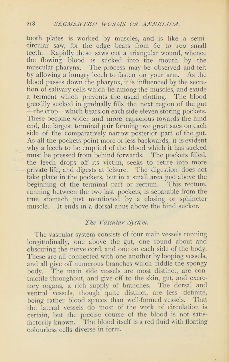 tooth plates is worked by muscles, and is like a semi- circular saw, for the edge bears from 60 to ioo small teeth. Rapidly these saws cut a triangular wound, whence the flowing blood is sucked into the mouth by the muscular pharynx. The process may be observed and felt by allowing a hungry leech to fasten on your arm. As the blood passes down the pharynx, it is influenced by the secre- tion of salivary cells which lie among the muscles, and exude a ferment which prevents the usual clotting. The blood greedily sucked in gradually fills the next region of the gut —the crop—which bears on each side eleven storing pockets. These become wider and more capacious towards the hind end, the largest terminal pair forming two great sacs on each side of the comparatively narrow posterior part of the gut. As all the pockets point more or less backwards, it is evident why a leech to be emptied of the blood which it has sucked must be pressed from behind forwards. The pockets filled, the leech drops off its victim, seeks to retire into more private life, and digests at leisure. The digestion does not take place in the pockets, but in a small area just above the beginning of the terminal part or rectum. This rectum, running between the two last pockets, is separable from the true stomach just mentioned by a closing or sphincter muscle. It ends in a dorsal anus above the hind sucker. The Vascular System. The vascular system consists of four main vessels running longitudinally, one above the gut, one round about and obscuring the nerve cord, and one on each side of the body. These are all connected with one another by looping vessels, and all give off numerous branches which riddle the spongy body. The main side vessels are most distinct, are con- tractile throughout, and give off to the skin, gut, and excre- tory organs, a rich supply of branches. The dorsal and ventral vessels, though quite distinct, are less definite, being rather blood spaces than well-formed vessels. That the lateral vessels do most of the work of circulation is certain, but the precise course of the blood is not satis- factorily known. The blood itself is a red fluid with floating colourless cells diverse in form.