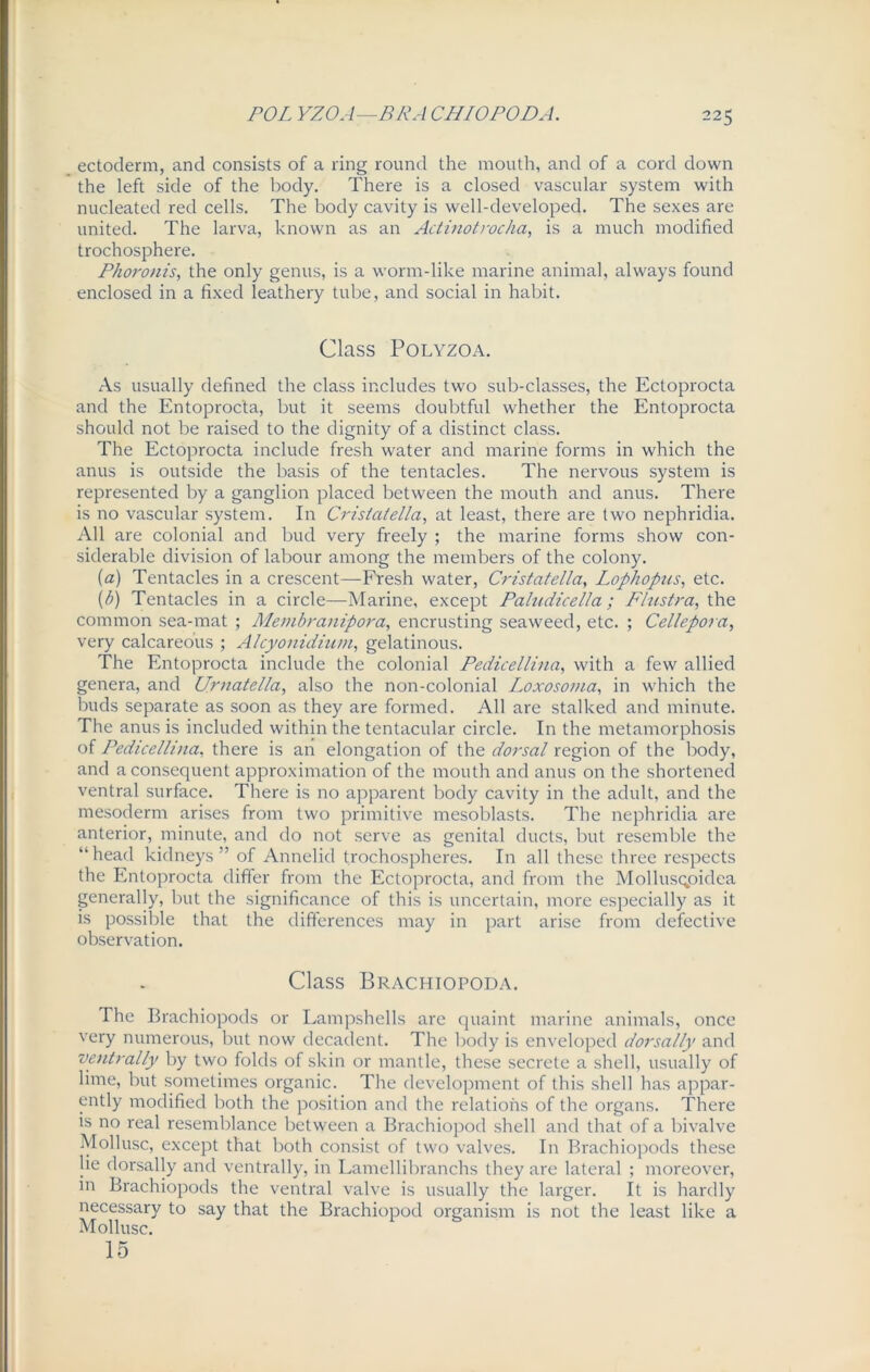 ectoderm, and consists of a ling round the mouth, and of a cord down the left side of the body. There is a closed vascular system with nucleated red cells. The body cavity is well-developed. The sexes are united. The larva, known as an Actinotrocka, is a much modified trochosphere. Phoronis, the only genus, is a worm-like marine animal, always found enclosed in a fixed leathery tube, and social in habit. Class Polyzoa. As usually defined the class includes two sub-classes, the Ectoprocta and the Entoprocta, but it seems doubtful whether the Entoprocta should not be raised to the dignity of a distinct class. The Ectoprocta include fresh water and marine forms in which the anus is outside the basis of the tentacles. The nervous system is represented by a ganglion placed between the mouth and anus. There is no vascular system. In Cristatella, at least, there are two nephridia. All are colonial and bud very freely ; the marine forms show con- siderable division of labour among the members of the colony. (a) Tentacles in a crescent—Fresh water, Cristatella, Lophopus, etc. (l>) Tentacles in a circle—Marine, except Paludicella ; Flustra, the common sea-mat ; Membranipora, encrusting seaweed, etc. ; Cellepora, very calcareous ; Alcyonidium, gelatinous. The Entoprocta include the colonial Pedicellina, with a few allied genera, and Urnatella, also the non-colonial I.oxosoma, in which the buds separate as soon as they are formed. All are stalked and minute. The anus is included within the tentacular circle. In the metamorphosis of Pedicellina, there is an elongation of the dorsal region of the body, and a consequent approximation of the mouth and anus on the shortened ventral surface. There is no apparent body cavity in the adult, and the mesoderm arises from two primitive mesoblasts. The nephridia are anterior, minute, and do not serve as genital ducts, but resemble the “head kidneys” of Annelid trochospheres. In all these three respects the Entoprocta differ from the Ectoprocta, and from the Mollusqpidea generally, but the significance of this is uncertain, more especially as it is possible that the differences may in part arise from defective observation. Class Brachiopoda. The Brachiopods or Lampshells are quaint marine animals, once very numerous, but now decadent. The body is enveloped dorsally and ventrally by two folds of skin or mantle, these secrete a shell, usually of lime, but sometimes organic. The development of this shell has appar- ently modified both the position and the relations of the organs. There is no real resemblance between a Brachiopod shell and that of a bivalve Mollusc, except that both consist of two valves. In Brachiopods these lie dorsally and ventrally, in Lamellibranchs they are lateral ; moreover, in Brachiopods the ventral valve is usually the larger. It is hardly necessary to say that the Brachiopod organism is not the least like a Mollusc. 15