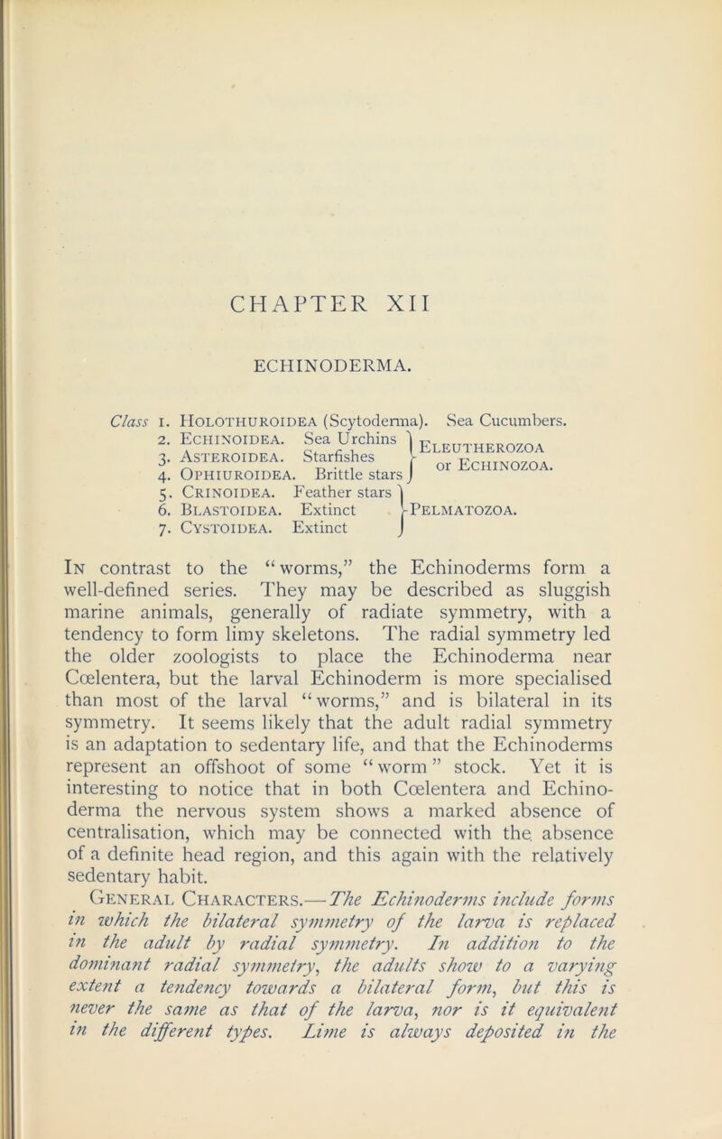 CHAPTER XII ECHINODERMA. Class 1. 2. 3- 4- 5- 6. 7- or Echinozoa. Holothuroidea (Scytoderma). Sea Cucumbers. Echinoidea. Sea Urchins ] Eledtherozoa Asteroidea. Starfishes Ophiuroidea. Brittle stars Crinoidea. Feather stars Blastoidea. Extinct 1-Pelmatozoa. Cystoidea. Extinct . J In contrast to the “ worms,” the Echinoderms form a well-defined series. They may be described as sluggish marine animals, generally of radiate symmetry, with a tendency to form limy skeletons. The radial symmetry led the older zoologists to place the Echinoderma near Coelentera, but the larval Echinoderm is more specialised than most of the larval “ worms,” and is bilateral in its symmetry. It seems likely that the adult radial symmetry is an adaptation to sedentary life, and that the Echinoderms represent an offshoot of some “ worm ” stock. Yet it is interesting to notice that in both Coelentera and Echino- derma the nervous system shows a marked absence of centralisation, which may be connected with the. absence of a definite head region, and this again with the relatively sedentary habit. General Characters.—The Echinoderms include forms in which the bilateral symmetry of the larva is replaced in the adult by radial symmetry. In addition to the dominant radial symmetry, the adults show to a varying extent a tendency towards a bilateral form, but this is never the same as that of the larva, nor is it equivalent in the different types. Lime is always deposited in the