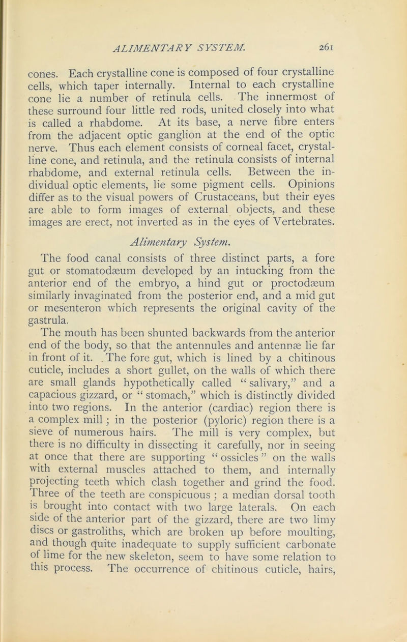 cones. Each crystalline cone is composed of four crystalline cells, which taper internally. Internal to each crystalline cone lie a number of retinula cells. The innermost of these surround four little red rods, united closely into what is called a rhabdome. At its base, a nerve fibre enters from the adjacent optic ganglion at the end of the optic nerve. Thus each element consists of corneal facet, crystal- line cone, and retinula, and the retinula consists of internal rhabdome, and external retinula cells. Between the in- dividual optic elements, lie some pigment cells. Opinions differ as to the visual powers of Crustaceans, but their eyes are able to form images of external objects, and these images are erect, not inverted as in the eyes of Vertebrates. Alimentary System. The food canal consists of three distinct parts, a fore gut or stomatodaeum developed by an intucking from the anterior end of the embryo, a hind gut or proctodaeum similarly invaginated from the posterior end, and a mid gut or mesenteron which represents the original cavity of the gastrula. The mouth has been shunted backwards from the anterior end of the body, so that the antennules and antennae lie far in front of it. .The fore gut, which is lined by a chitinous cuticle, includes a short gullet, on the walls of which there are small glands hypothetically called “ salivary,” and a capacious gizzard, or “ stomach,” which is distinctly divided into two regions. In the anterior (cardiac) region there is a complex mill; in the posterior (pyloric) region there is a sieve of numerous hairs. The mill is very complex, but there is no difficulty in dissecting it carefully, nor in seeing at once that there are supporting “ ossicles ” on the walls with external muscles attached to them, and internally projecting teeth which clash together and grind the food. 1 hree of the teeth are conspicuous ; a median dorsal tooth is brought into contact with two large laterals. On each side of the anterior part of the gizzard, there are two limy discs or gastroliths, which are broken up before moulting, and though quite inadequate to supply sufficient carbonate of lime for the new skeleton, seem to have some relation to this process. The occurrence of chitinous cuticle, hairs,