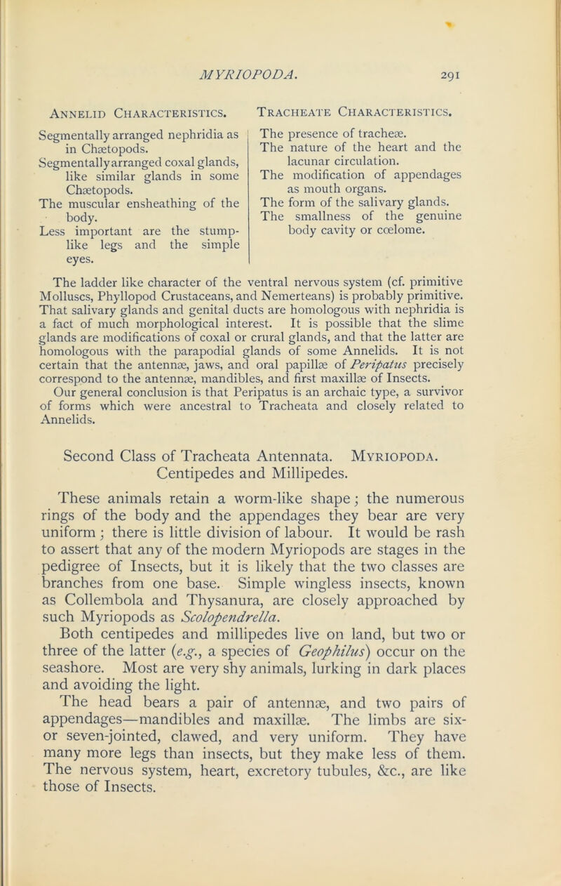 Annelid Characteristics. Segmentally arranged nephridia as in Chsetopods. Segmentallyarranged coxal glands, like similar glands in some Chsetopods. The muscular ensheathing of the body. Less important are the stump- like legs and the simple eyes. Tracheate Characteristics. The presence of tracheae. The nature of the heart and the lacunar circulation. The modification of appendages as mouth organs. The form of the salivary glands. The smallness of the genuine body cavity or coelome. The ladder like character of the ventral nervous system (cf. primitive Molluscs, Phyllopod Crustaceans, and Nemerteans) is probably primitive. That salivary glands and genital ducts are homologous with nephridia is a fact of much morphological interest. It is possible that the slime glands are modifications of coxal or crural glands, and that the latter are homologous with the parapodial glands of some Annelids. It is not certain that the antennee, jaws, and oral papillae of Peripatus precisely correspond to the antennae, mandibles, and first maxillae of Insects. Our general conclusion is that Peripatus is an archaic type, a survivor of forms which were ancestral to Tracheata and closely related to Annelids. Second Class of Tracheata Antennata. Myriopoda. Centipedes and Millipedes. These animals retain a worm-like shape; the numerous rings of the body and the appendages they bear are very uniform ; there is little division of labour. It would be rash to assert that any of the modern Myriopods are stages in the pedigree of Insects, but it is likely that the two classes are branches from one base. Simple wnngless insects, known as Collembola and Thysanura, are closely approached by such Myriopods as Scolopendrella. Both centipedes and millipedes live on land, but two or three of the latter (e.g., a species of Geophilus) occur on the seashore. Most are very shy animals, lurking in dark places and avoiding the light. The head bears a pair of antennae, and two pairs of appendages—mandibles and maxillae. The limbs are six- or seven-jointed, clawed, and very uniform. They have many more legs than insects, but they make less of them. The nervous system, heart, excretory tubules, &c., are like those of Insects.