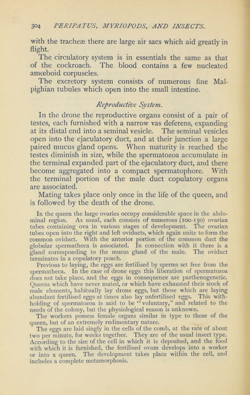 with the tracheae there are large air sacs which aid greatly in flight. The circulatory system is in essentials the same as that of the cockroach. The blood contains a few nucleated amoeboid corpuscles. The excretory system consists of numerous fine Mal- pighian tubules which open into the small intestine. Reprodiictive Syste?n. In the drone the reproductive organs consist of a pair of testes, each furnished with a narrow vas deferens, expanding at its distal end into a seminal vesicle. The seminal vesicles open into the ejaculatory duct, and at their junction a large paired mucus gland opens. When maturity is reached the testes diminish in size, while the spermatozoa accumulate in the terminal expanded part of the ejaculatory duct, and there become aggregated into a compact spermatophore. With the terminal portion of the male duct copulatory organs are associated. Mating takes place only once in the life of the queen, and is followed by the death of the drone. In the queen the large ovaries occupy considerable space in the abdo- minal region. As usual, each consists of numerous (i00-150) ovarian tubes containing ova in various stages of development. The ovarian tubes open into the right and left oviducts, which again unite to form the common oviduct. With the anterior portion of the common duct the globular spermatheca is associated. In connection with it there is a gland corresponding to the mucus gland of the male. The oviduct terminates in a copulatory pouch. Previous to laying, the eggs are fertilised by sperms set free from the spermatheca. In the case of drone eggs this liberation of spermatozoa does not take place, and the eggs in consequence are parthenogenetic. Queens which have never mated, or which have exhausted their stock of male elements, habitually lay drone eggs, but those which are laying abundant fertilised eggs at times also lay unfertilised eggs. This with- holding of spermatozoa is said to be “ voluntary,” and related to the needs of the colony, but the physiological reason is unknown. The workers possess female organs similar in type to those of the queen, but of an extremely rudimentary nature. The eggs are laid singly in the cells of the comb, at the rate of about two per minute, for weeks together. They are of the usual insect type. According to the size of the cell in which it is deposited, and the food with which it is furnished, the fertilised ovum develops into a worker or into a queen. The development takes place within the cell, and includes a complete metamorphosis.