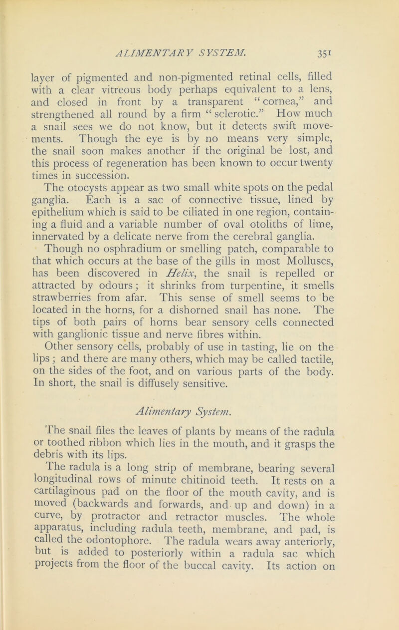 layer of pigmented and non-pigmented retinal cells, filled with a clear vitreous body perhaps equivalent to a lens, and closed in front by a transparent “ cornea,” and strengthened all round by a firm “ sclerotic.” How much a snail sees we do not know, but it detects swift move- ments. Though the eye is by no means very simple, the snail soon makes another if the original be lost, and this process of regeneration has been known to occur twenty times in succession. The otocysts appear as two small white spots on the pedal ganglia. Each is a sac of connective tissue, lined by epithelium which is said to be ciliated in one region, contain- ing a fluid and a variable number of oval otoliths of lime, innervated by a delicate nerve from the cerebral ganglia. Though no osphradium or smelling patch, comparable to that which occurs at the base of the gills in most Molluscs, has been discovered in Helix, the snail is repelled or attracted by odours; it shrinks from turpentine, it smells strawberries from afar. This sense of smell seems to be located in the horns, for a dishorned snail has none. The tips of both pairs of horns bear sensory cells connected with ganglionic tissue and nerve fibres within. Other sensory cells, probably of use in tasting, lie on the lips ; and there are many others, which may be called tactile, on the sides of the foot, and on various parts of the body. In short, the snail is diffusely sensitive. Alimentary System. The snail files the leaves of plants by means of the radula or toothed ribbon which lies in the mouth, and it grasps the debris with its lips. The radula is a long strip of membrane, bearing several longitudinal rows of minute chitinoid teeth. It rests on a cartilaginous pad on the floor of the mouth cavity, and is moved (backwards and forwards, and up and down) in a curve, by protractor and retractor muscles. The whole apparatus, including radula teeth, membrane, and pad, is called the odontophore. The radula wears away anteriorly, but is added to posteriorly within a radula sac which projects from the floor of the buccal cavity. Its action on