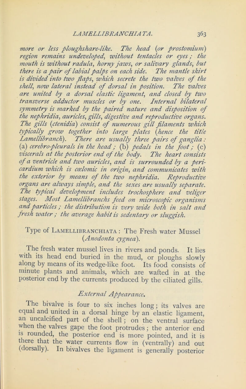 more or less ploughshare-like. The head (or prostomium) region remains undeveloped,without tentacles or eyes; the mouth is without radula, horny jaws, or salivary glands, but there is a pair of labial palps on each side. The mantle skirt is divided into two flaps, which secrete the two valves of the shell, now lateral instead of dorsal in position. The valves are united by a dorsal elastic ligament, a?id closed by two transverse adductor muscles or by one. Internal bilateral symmetry is marked by the paired nature and dispositio?i of the nephridia, auricles, gills, digestive and reproductive organs. The gills (ctenidia) consist of numerous gill filaments which typically grow together into large plates (hence the title LamellibrancJi). There are usually three pairs of ganglia : (a) cerebro-pleurals in the head; (b) pedals i?i the foot; (c) viscerals at the posterior end of the body. The heart co?isists of a ventricle and two auricles, and is surrounded by a peri- cardium which is ccelomic in origin, and communicates with the exterior by means of the two nephridia. Reproductive organs are always simple, and the sexes are usually separate. The typical development includes trochosphere and veliger stages. Most Lamellibranchs feed on microscopic organisms and particles; the distribution is very wide both in salt and fresh ivater ; the average habit is sedentary or sluggish. Type of Lamellibranchiata : The Fresh water Mussel (Anodonta cygnea). The fresh water mussel lives in rivers and ponds. It lies with its head end buried in the mud, or ploughs slowly along by means of its wedge-like foot. Its food consists of minute plants and animals, which are wafted in at the posterior end by the currents produced by the ciliated gills. External Appearance. The bivalve is four to six inches long \ its valves are equal and united in a dorsal hinge by an elastic ligament, an uncalcified part of the shell; on the ventral surface when the valves gape the foot protrudes; the anterior end is rounded, the posterior end is more pointed, and it is there that the water currents flow in (ventrally) and out (dorsally). In bivalves the ligament is generally posterior