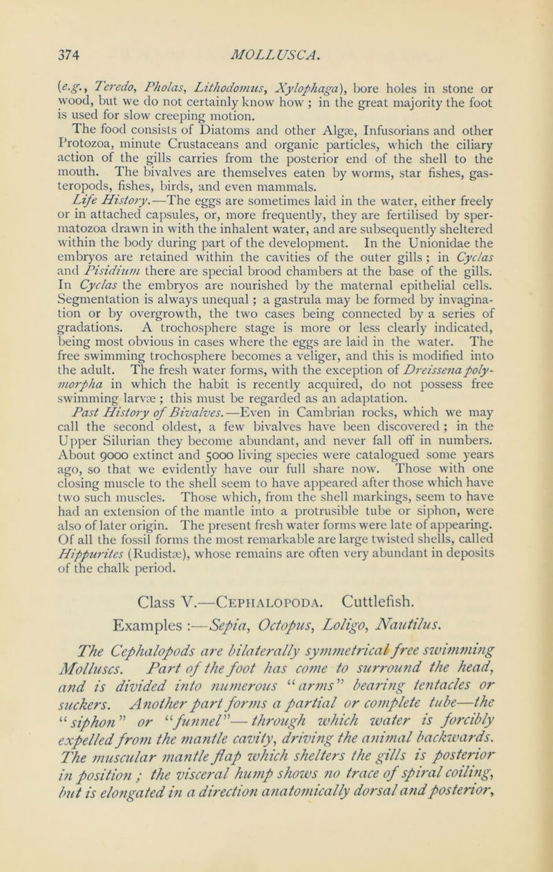 (e.g.y Teredo, Pholas, Lithodomus, Xylophaga), bore holes in stone or wood, but we do not certainly know how ; in the great majority the foot is used for slow creeping motion. The food consists of Diatoms and other Algae, Infusorians and other Protozoa, minute Crustaceans and organic particles, which the ciliary action of the gills carries from the posterior end of the shell to the mouth. The bivalves are themselves eaten by worms, star fishes, gas- teropods, fishes, birds, and even mammals. Life History.—The eggs are sometimes laid in the water, either freely or in attached capsules, or, more frequently, they are fertilised by sper- matozoa drawn in with the inhalent water, and are subsequently sheltered within the body during part of the development. In the Unionidae the embryos are retained within the cavities of the outer gills; in Cyclas and Pisidium there are special brood chambers at the base of the gills. In Cyclas the embryos are nourished by the maternal epithelial cells. Segmentation is always unequal; a gastrula may be formed by invagina- tion or by overgrowth, the two cases being connected by a series of gradations. A trochosphere stage is more or less clearly indicated, being most obvious in cases where the eggs are laid in the water. The free swimming trochosphere becomes a veliger, and this is modified into the adult. The fresh water forms, with the exception of Dreissenapoly- morpha in which the habit is recently acquired, do not possess free swimming larvae ; this must be regarded as an adaptation. Past History of Bivalves.—Even in Cambrian rocks, which we may call the second oldest, a few bivalves have been discovered ; in the Upper Silurian they become abundant, and never fall off in numbers. About 9000 extinct and 5000 living species were catalogued some years ago, so that we evidently have our full share now. Those with one closing muscle to the shell seem to have appeared after those which have two such muscles. Those which, from the shell markings, seem to have had an extension of the mantle into a protrusible tube or siphon, were also of later origin. The present fresh water forms were late of appearing. Of all the fossil forms the most remarkable are large twisted shells, called Hippurites (Rudistse), whose remains are often very abundant in deposits of the chalk period. Class V.—Cephalopoda. Cuttlefish. Examples :—Sepia, Octopus, Loligo, Nautilus. The Cephalopods are bilaterally symmetrical free swimming Molluscs. Part of the foot has come to surround the head, and is divided into numerous “arms” bearing tentacles or suckers. Another part forms a partial or complete tube—the “ siphon ” or “funnel”—through which water is forcibly expelled from the mantle cavity, driving the animal backwards. The muscular mantle flap which shelters the gills is posterior in position ; the visceral hump shows no trace of spPal coiling, but is elongated in a direction anatomically dorsal and posterior,